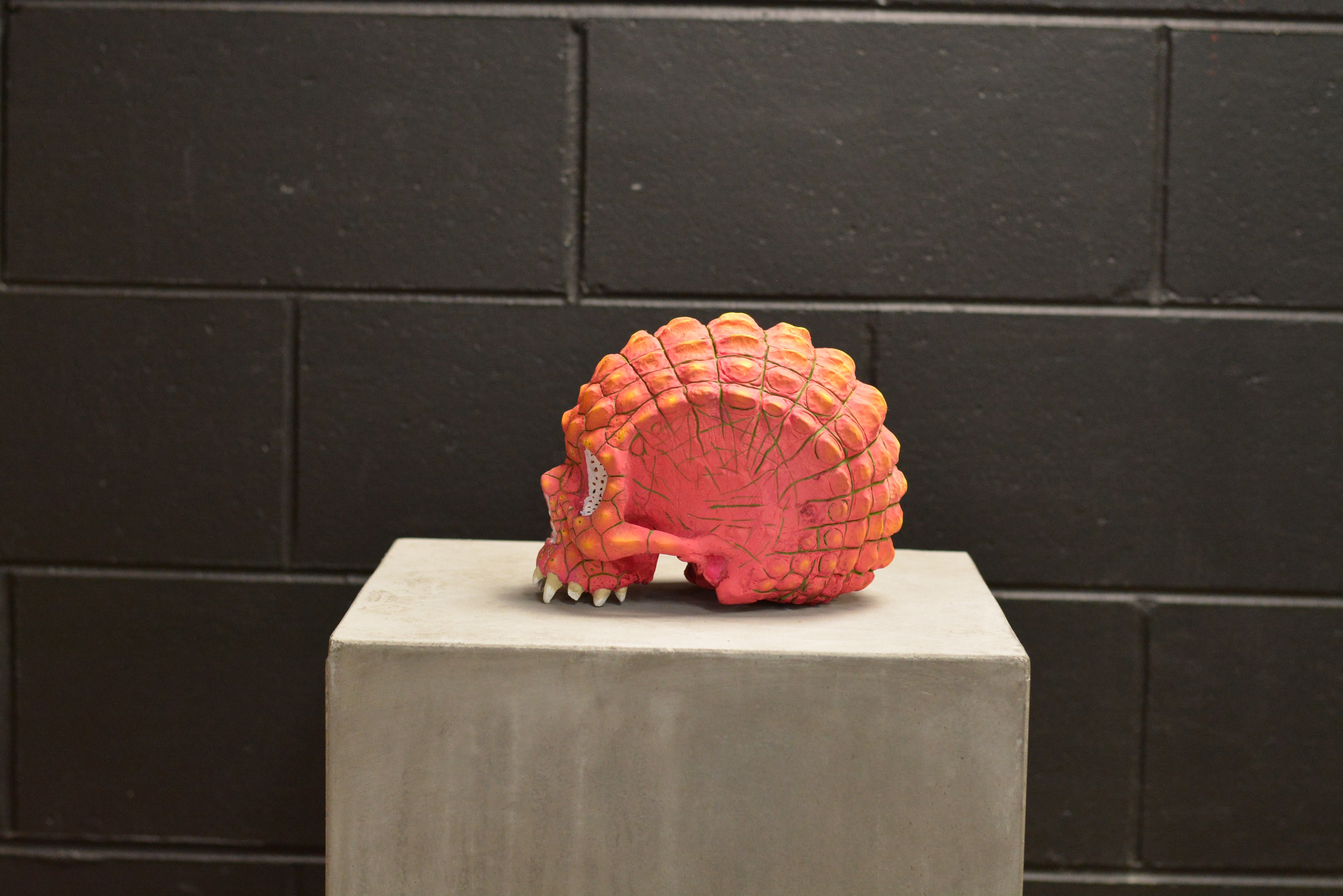 Croc Skull - Dragonfruit (EXPERIMENTAL PAINT)