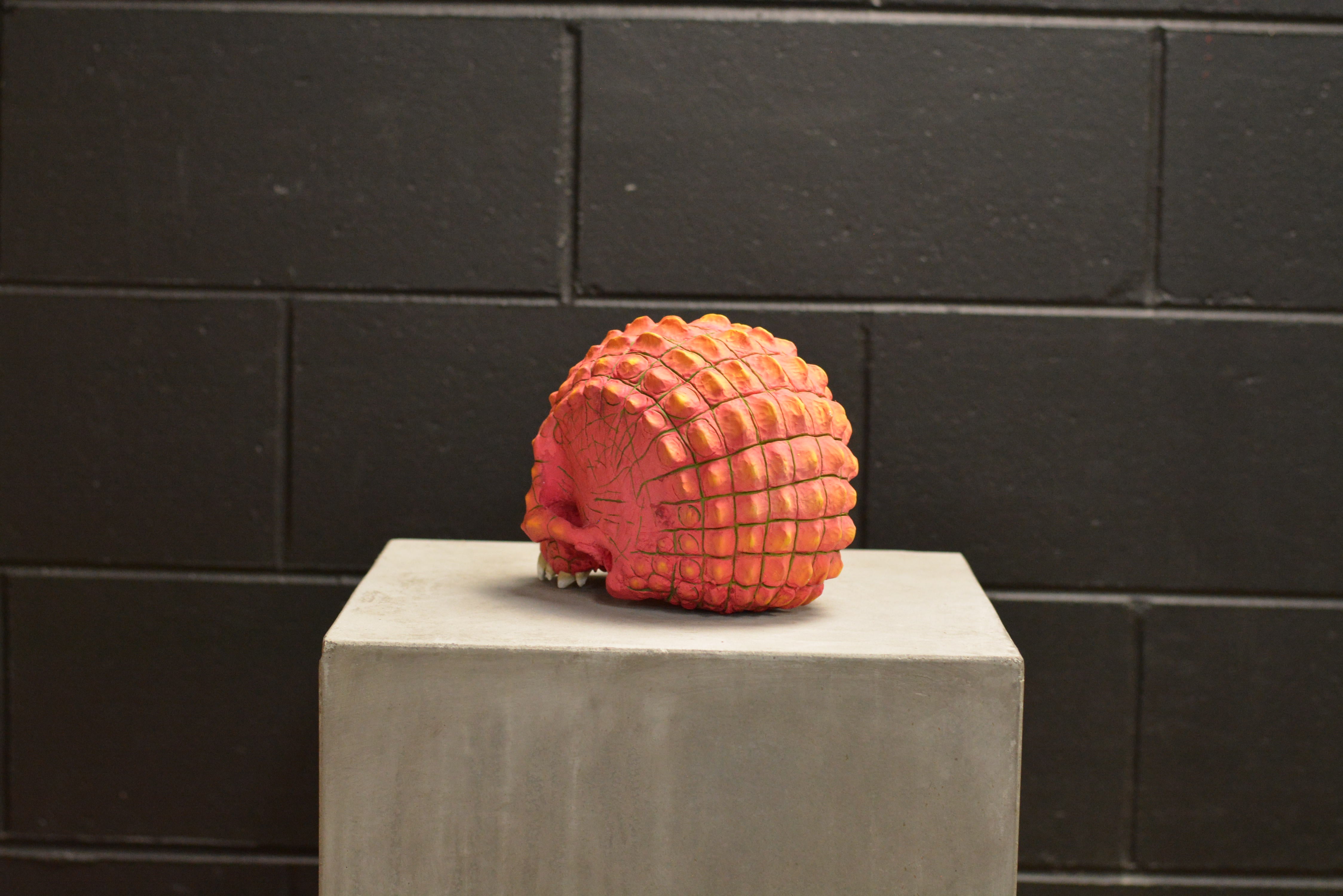 Croc Skull - Dragonfruit (EXPERIMENTAL PAINT)