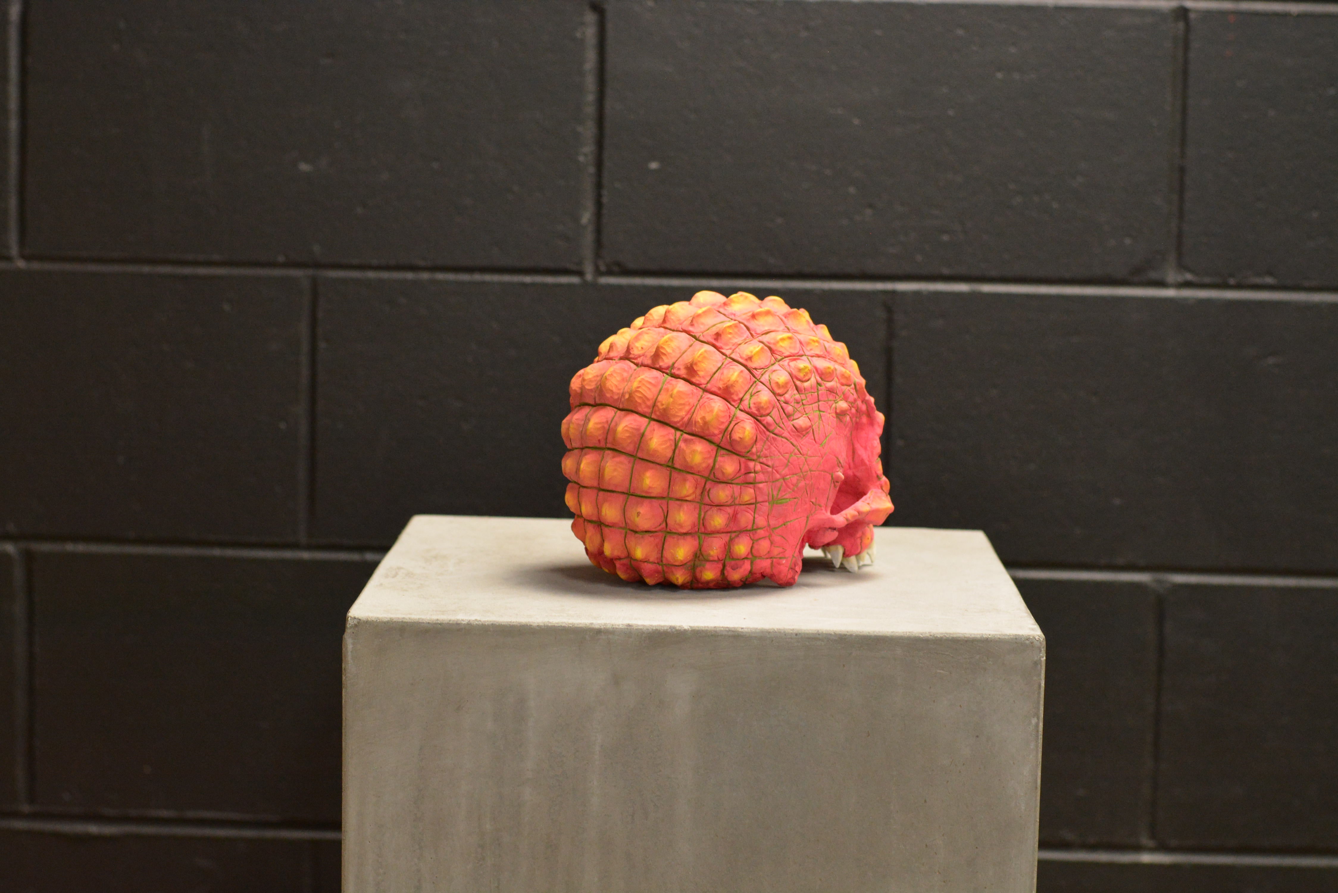 Croc Skull - Dragonfruit (EXPERIMENTAL PAINT)