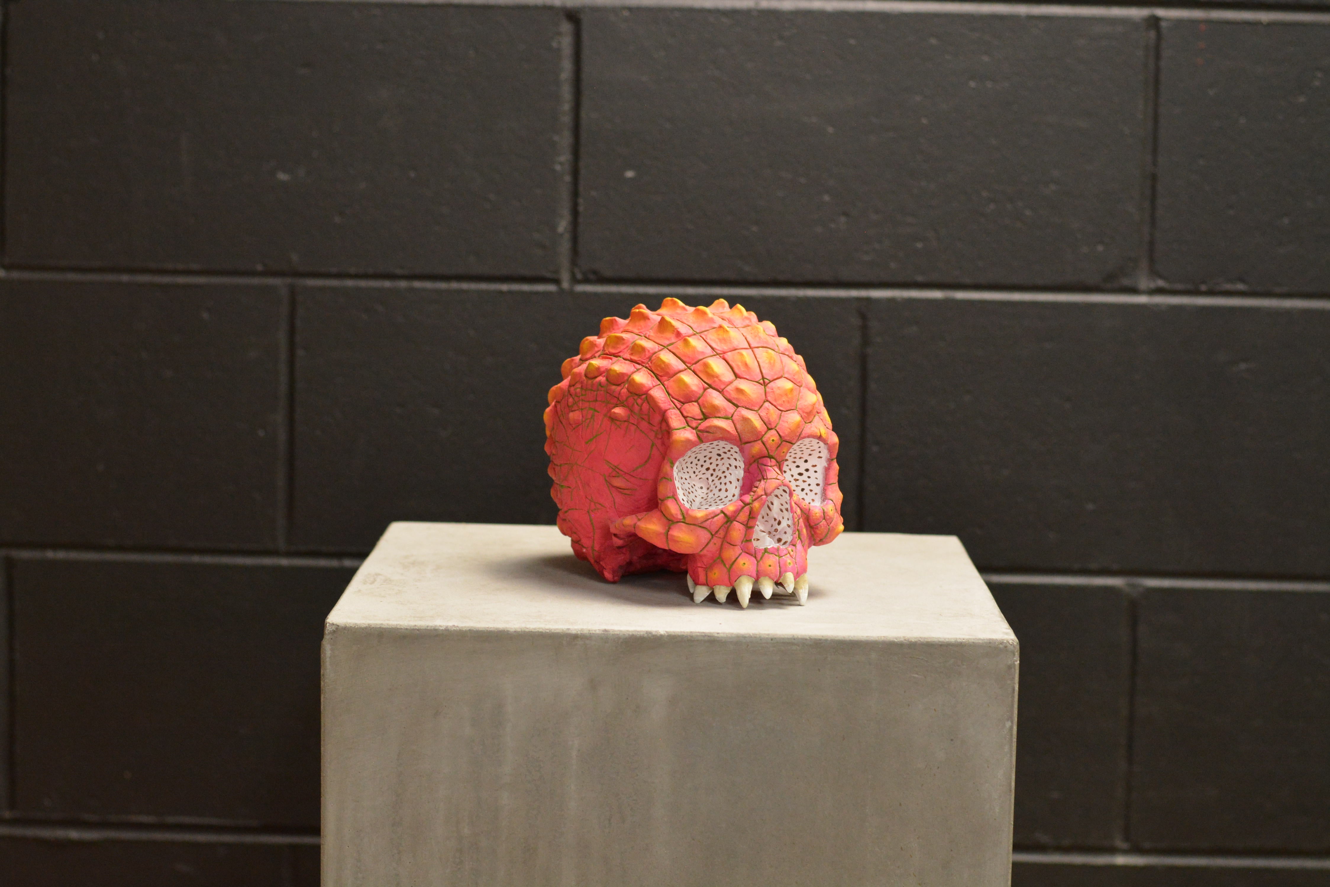 Croc Skull - Dragonfruit (EXPERIMENTAL PAINT)