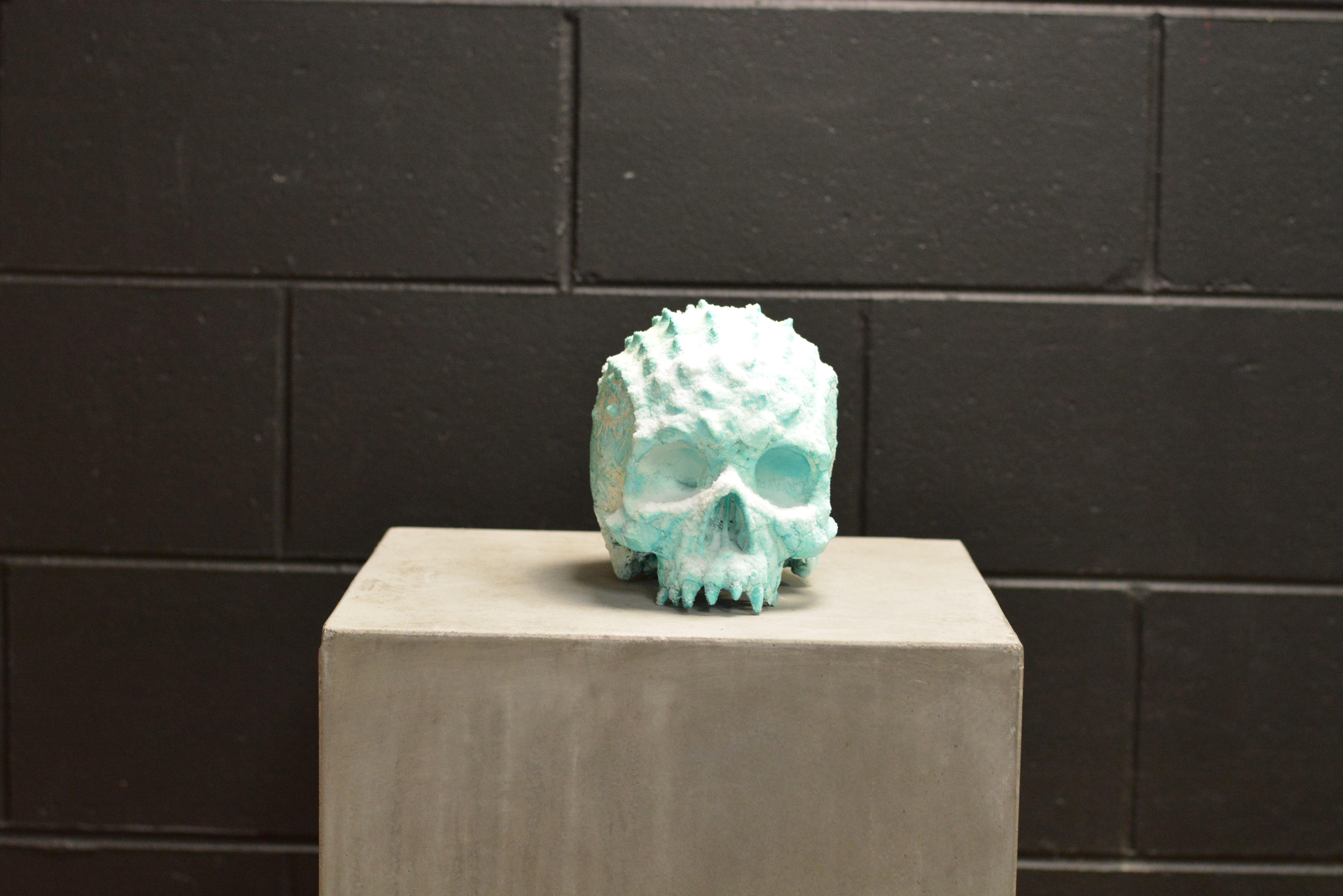 Croc Skull - Deep Freeze (EXPERIMENTAL PAINT)