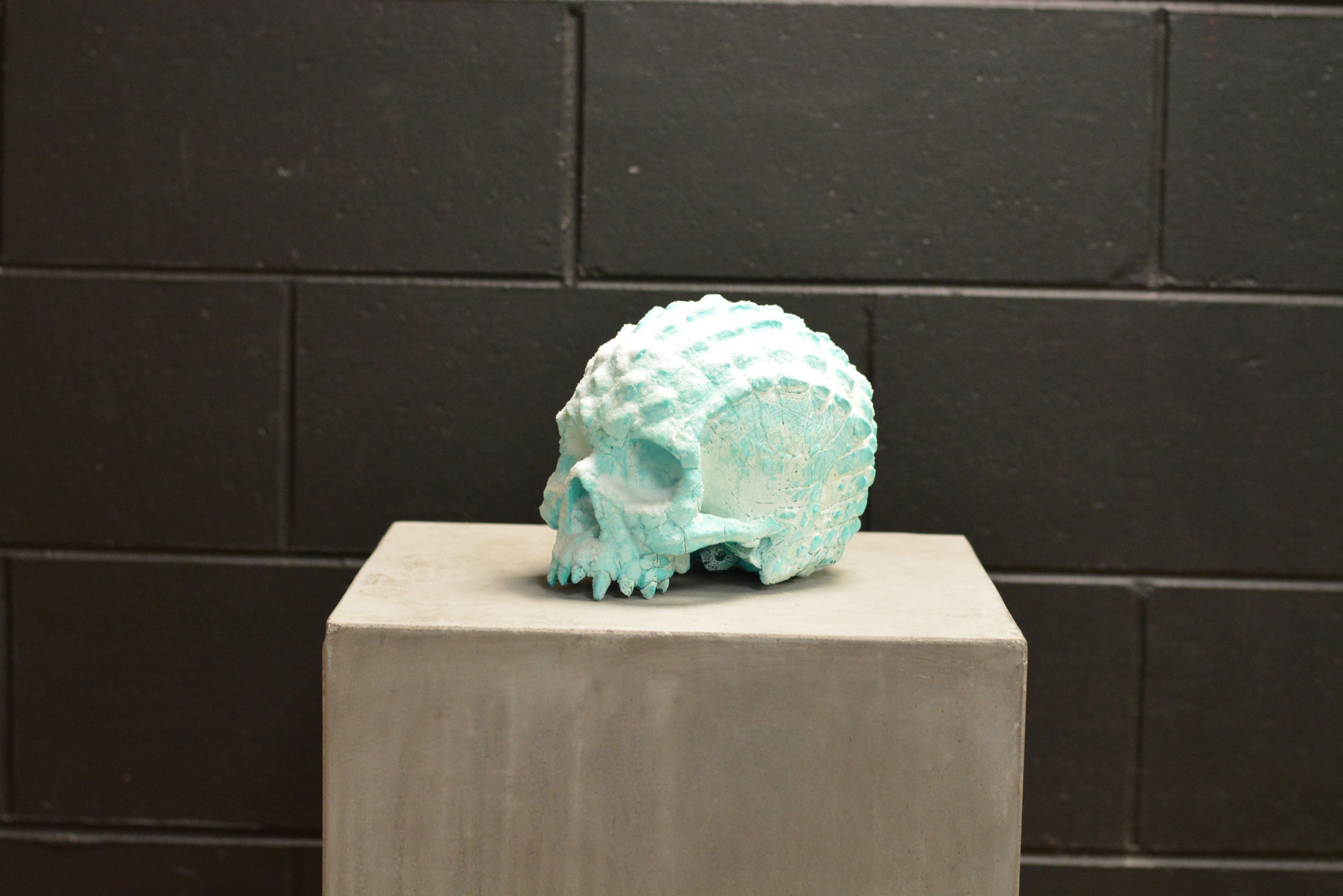 Croc Skull - Deep Freeze (EXPERIMENTAL PAINT)