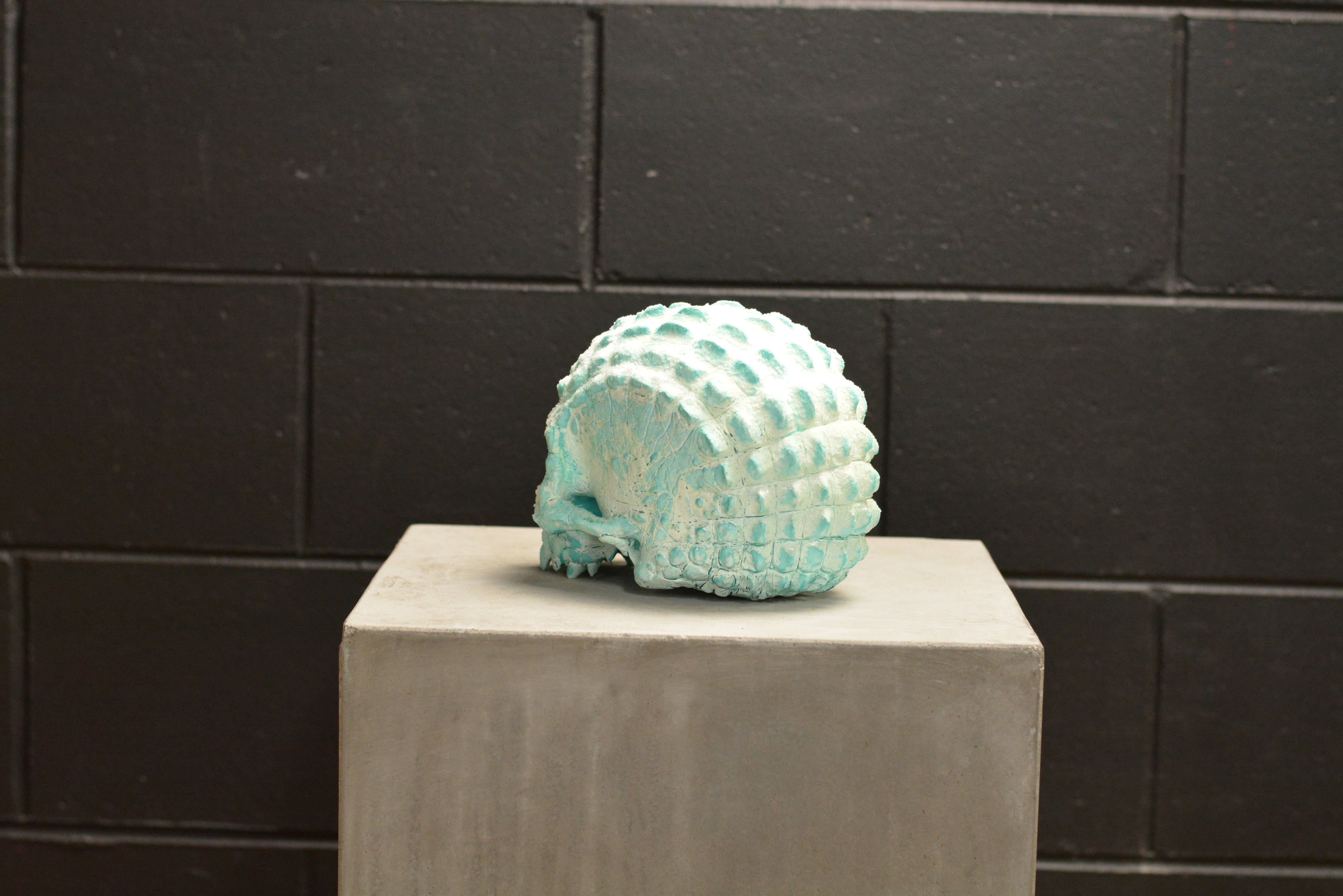 Croc Skull - Deep Freeze (EXPERIMENTAL PAINT)