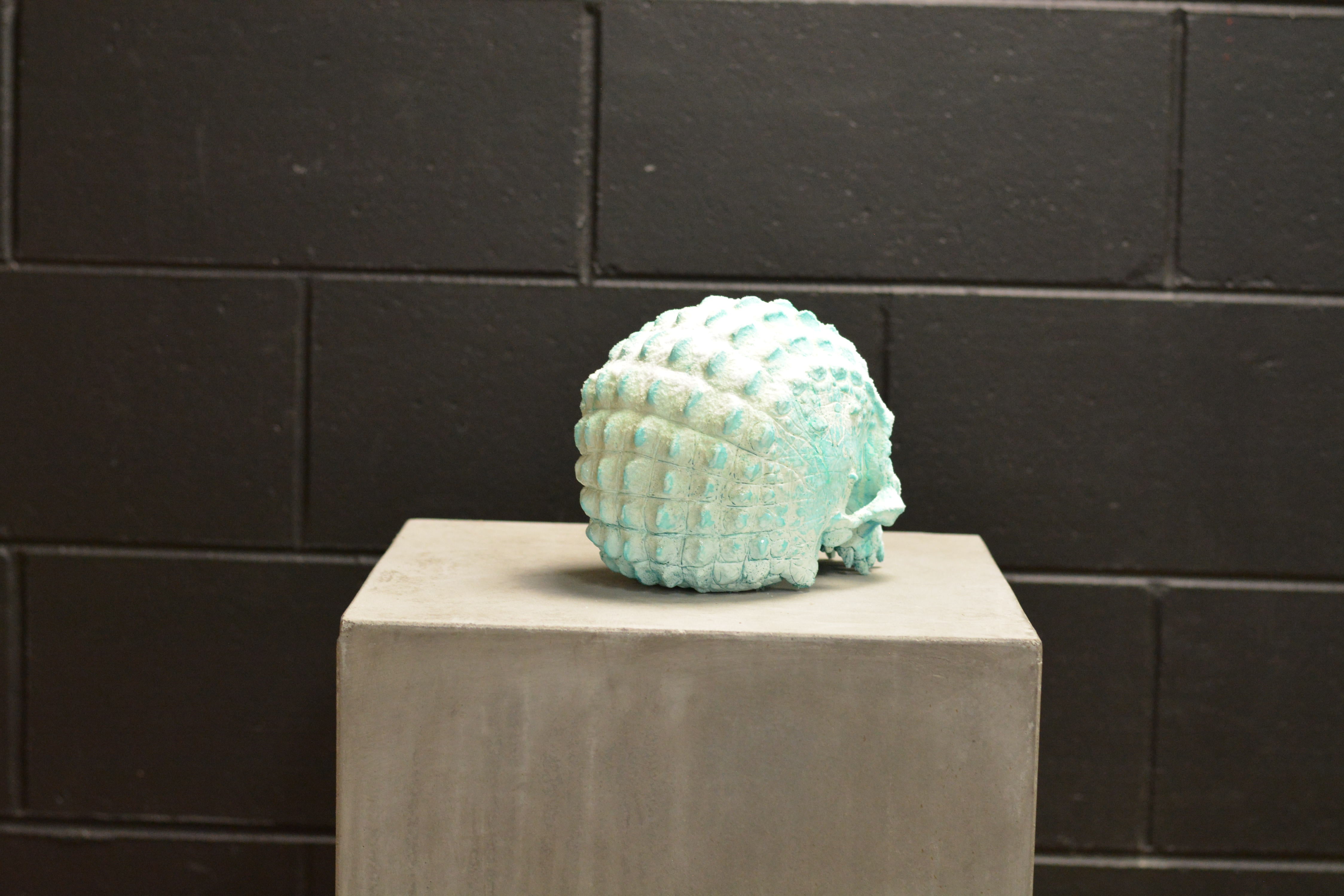 Croc Skull - Deep Freeze (EXPERIMENTAL PAINT)