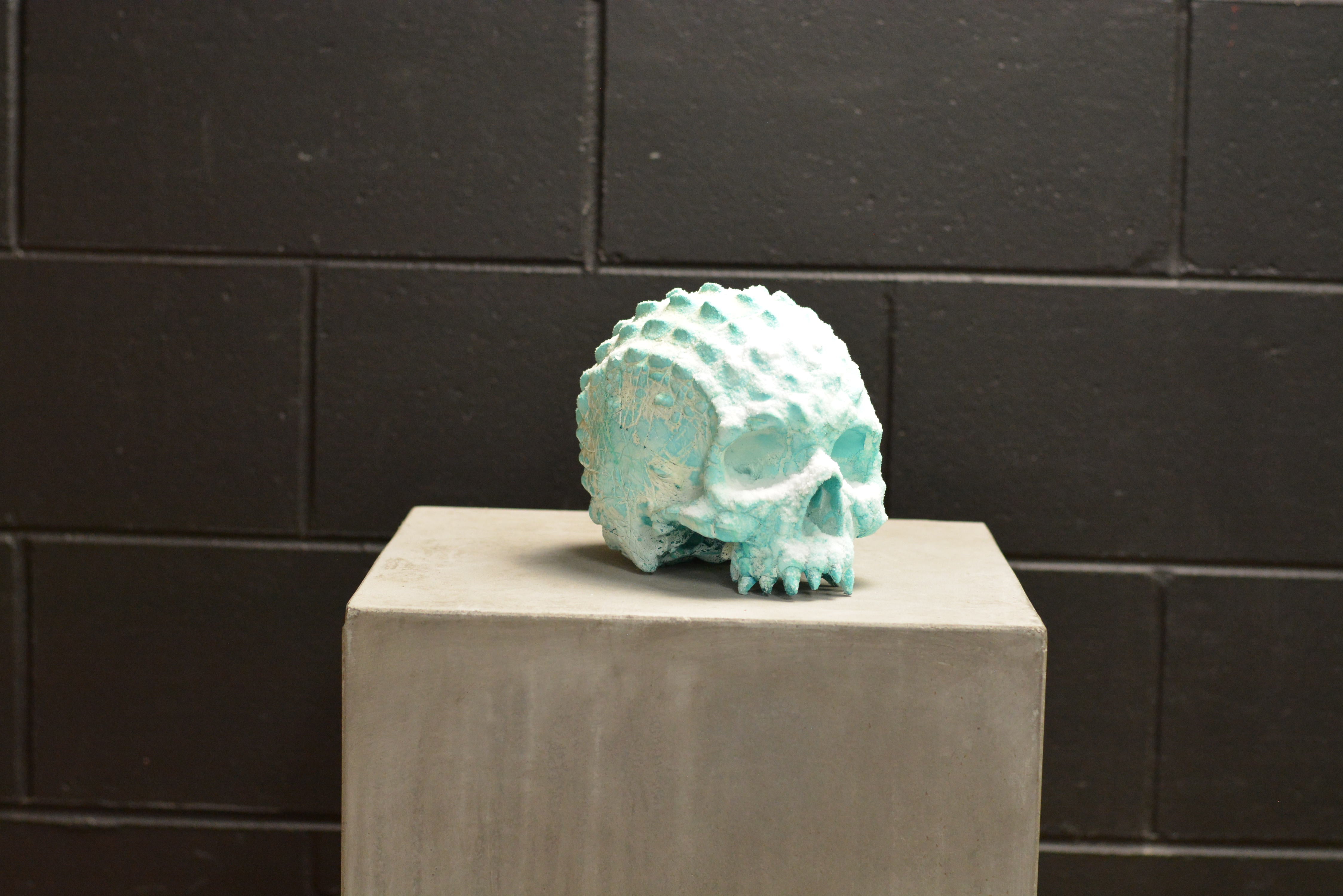 Croc Skull - Deep Freeze (EXPERIMENTAL PAINT)