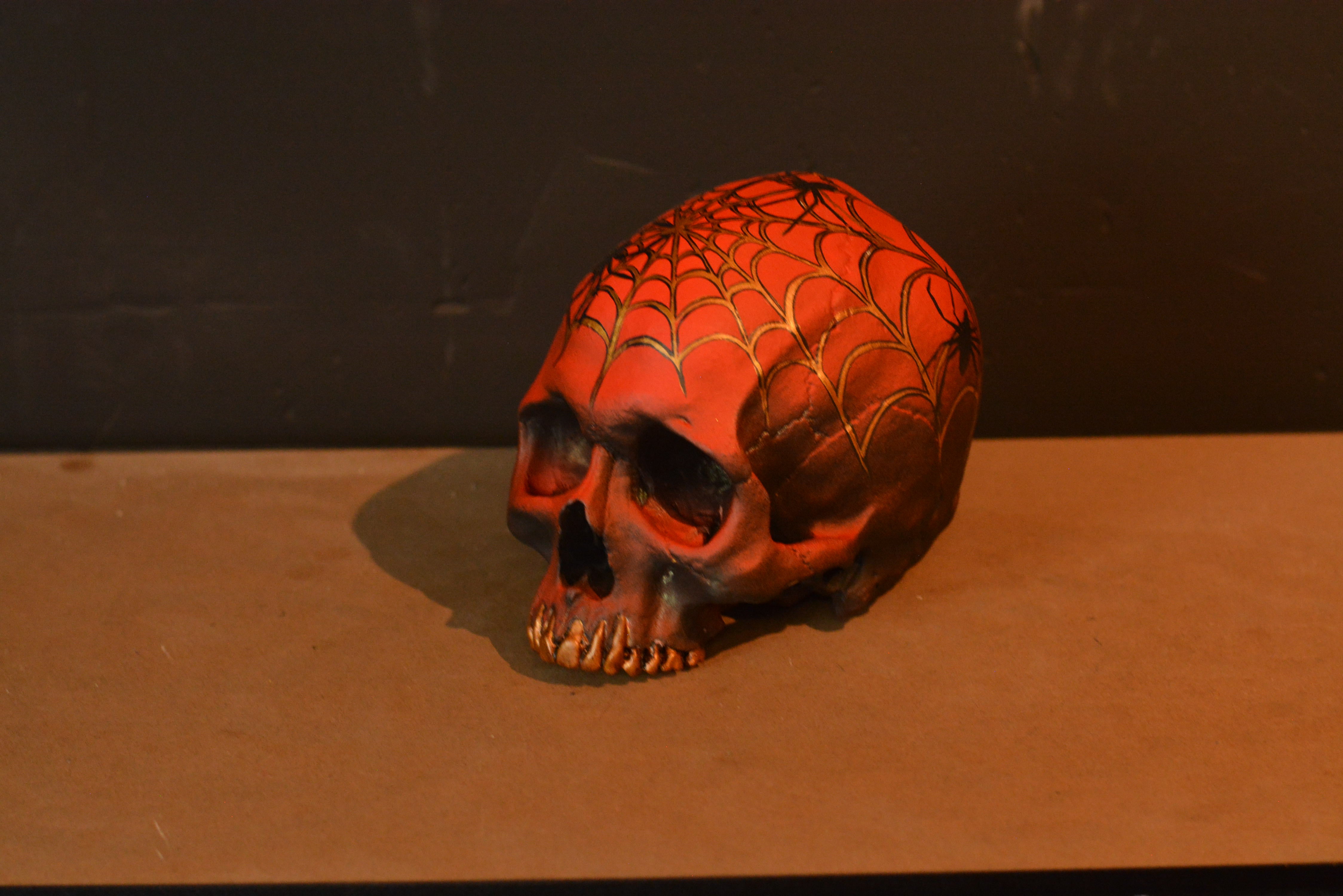 Human Skull - Spider Grillz (EXPERIMENTAL PAINT)