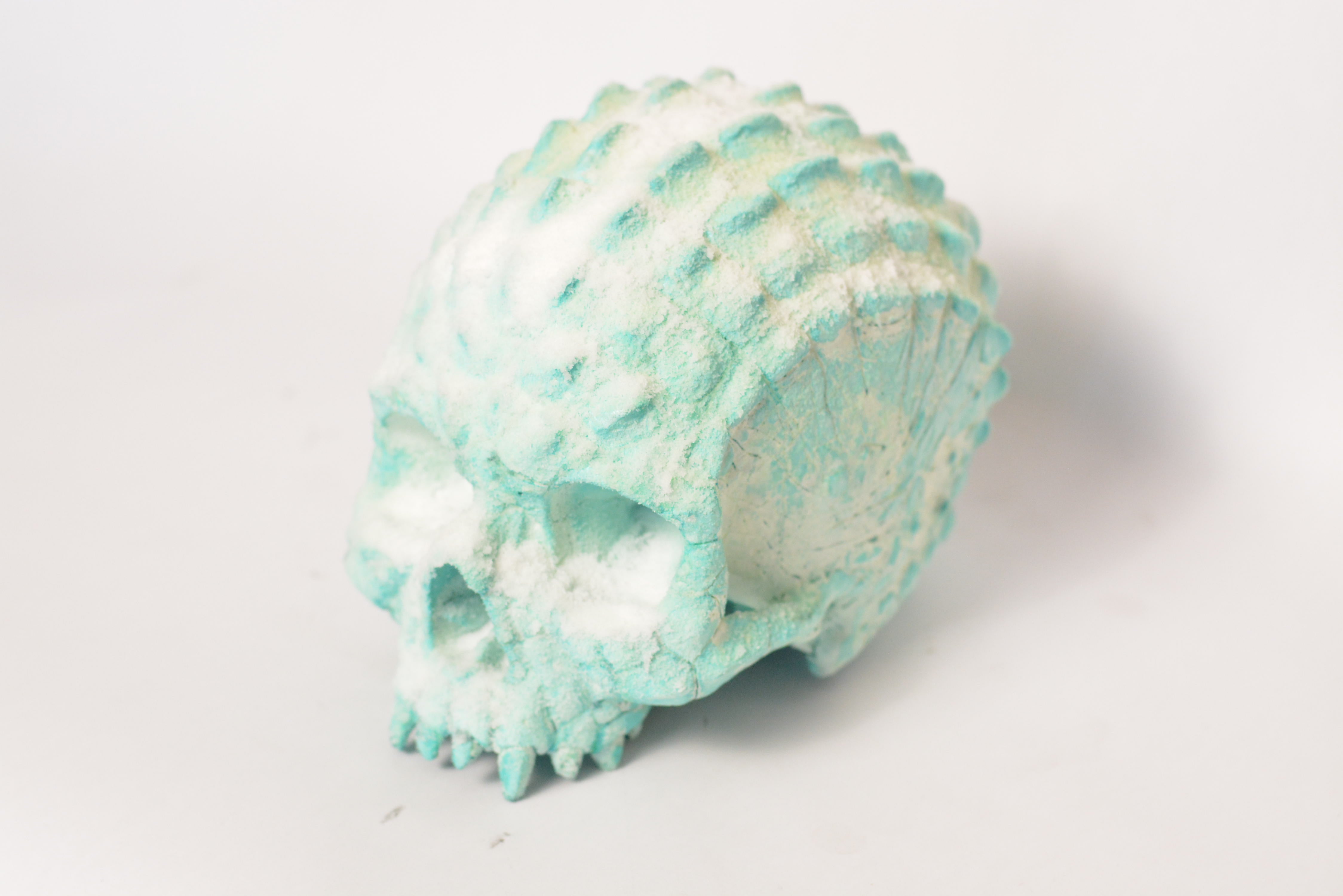 Croc Skull - Deep Freeze [EXPERIMENTAL PAINT]