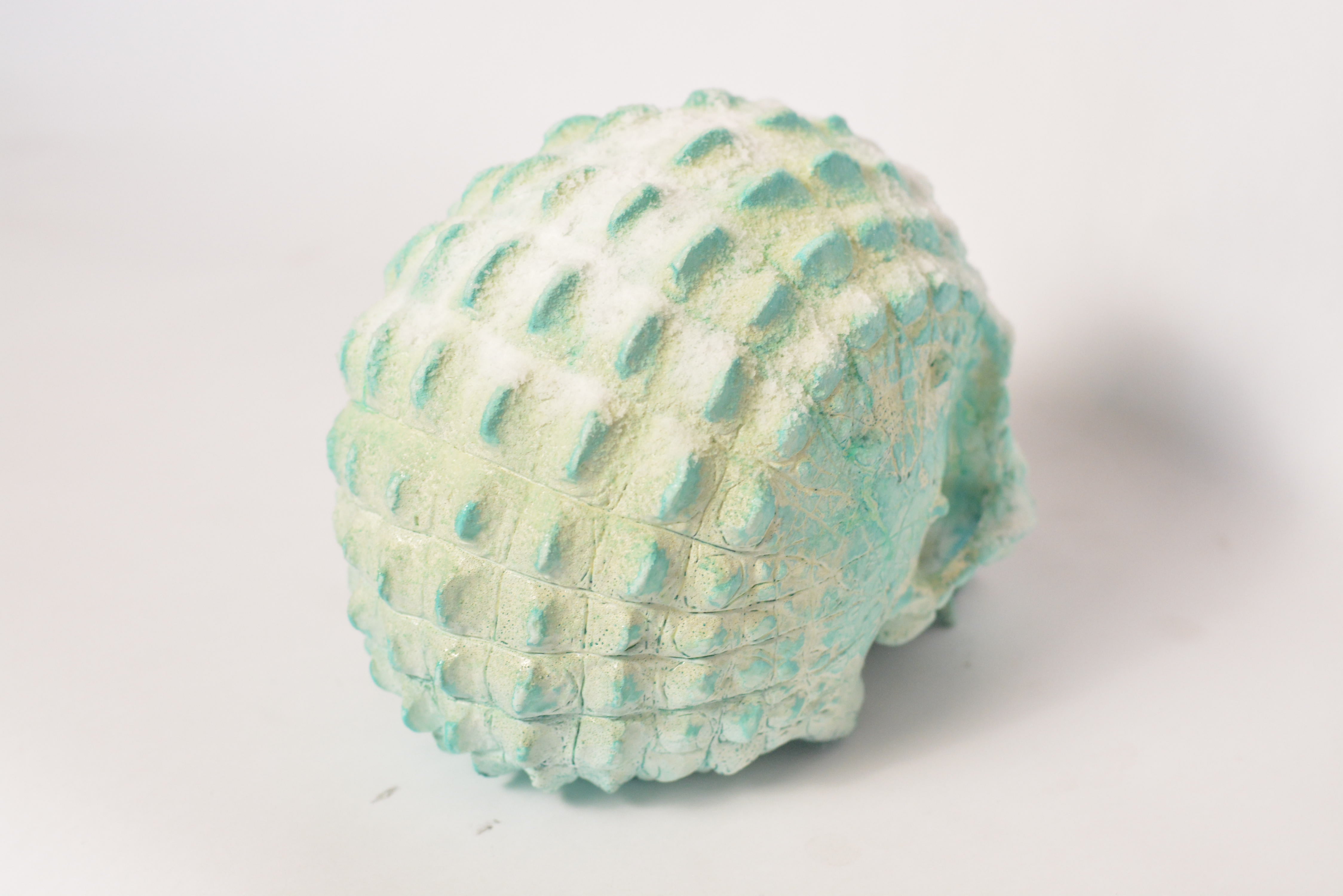 Croc Skull - Deep Freeze [EXPERIMENTAL PAINT]