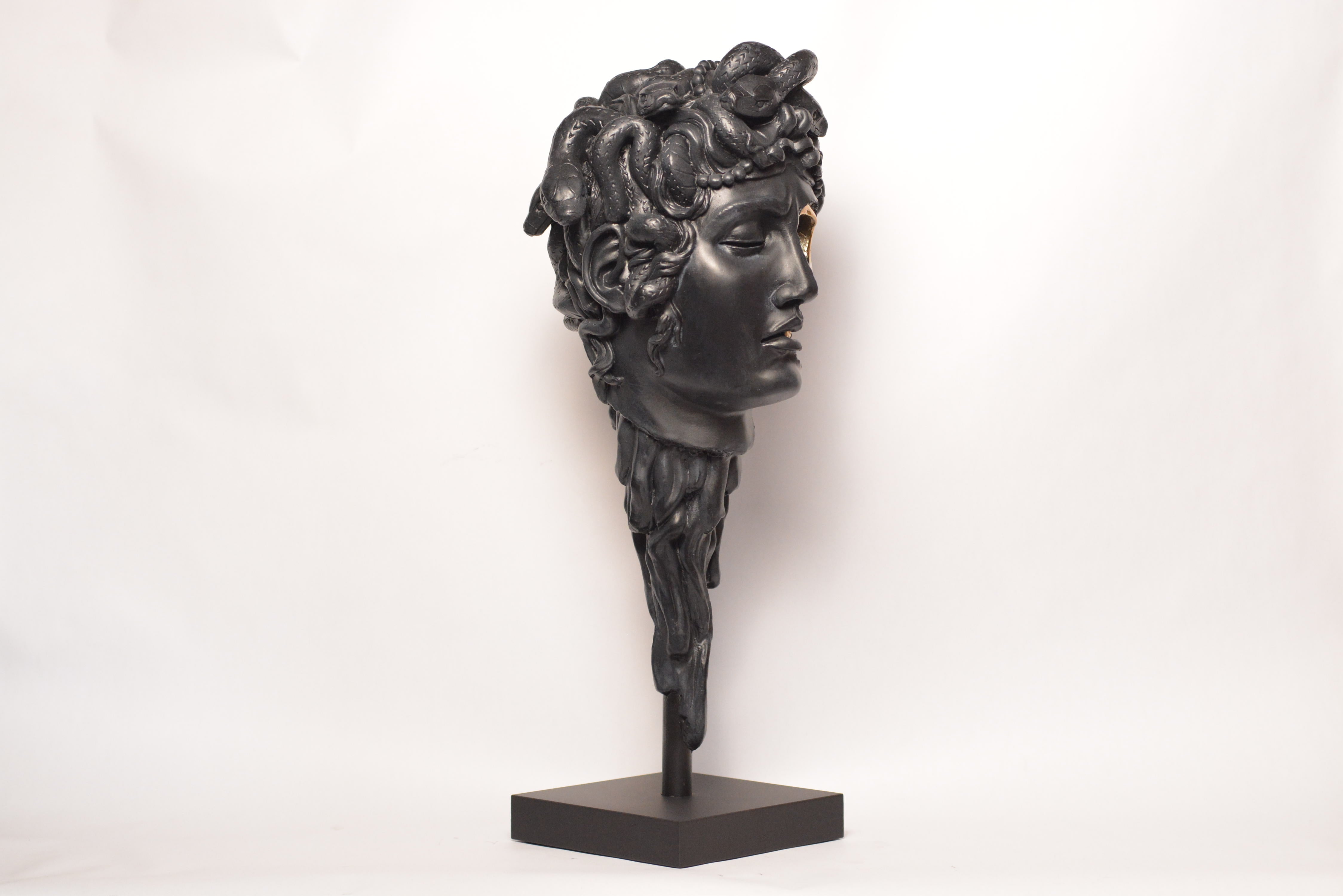 Medusa (SCRATCH & DENT) (1)