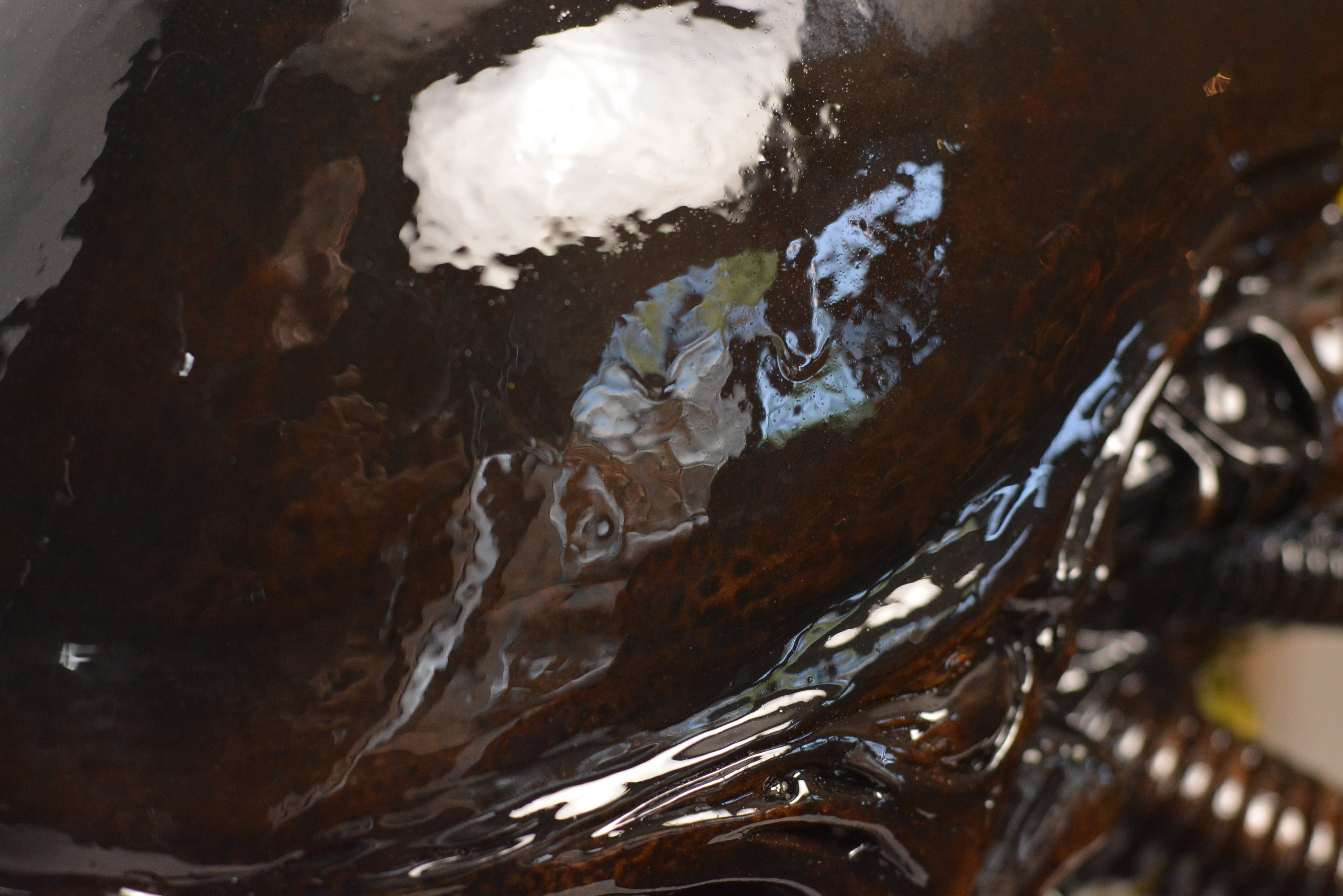 Xeno Trophy (SCRATCH & DENT) [1]