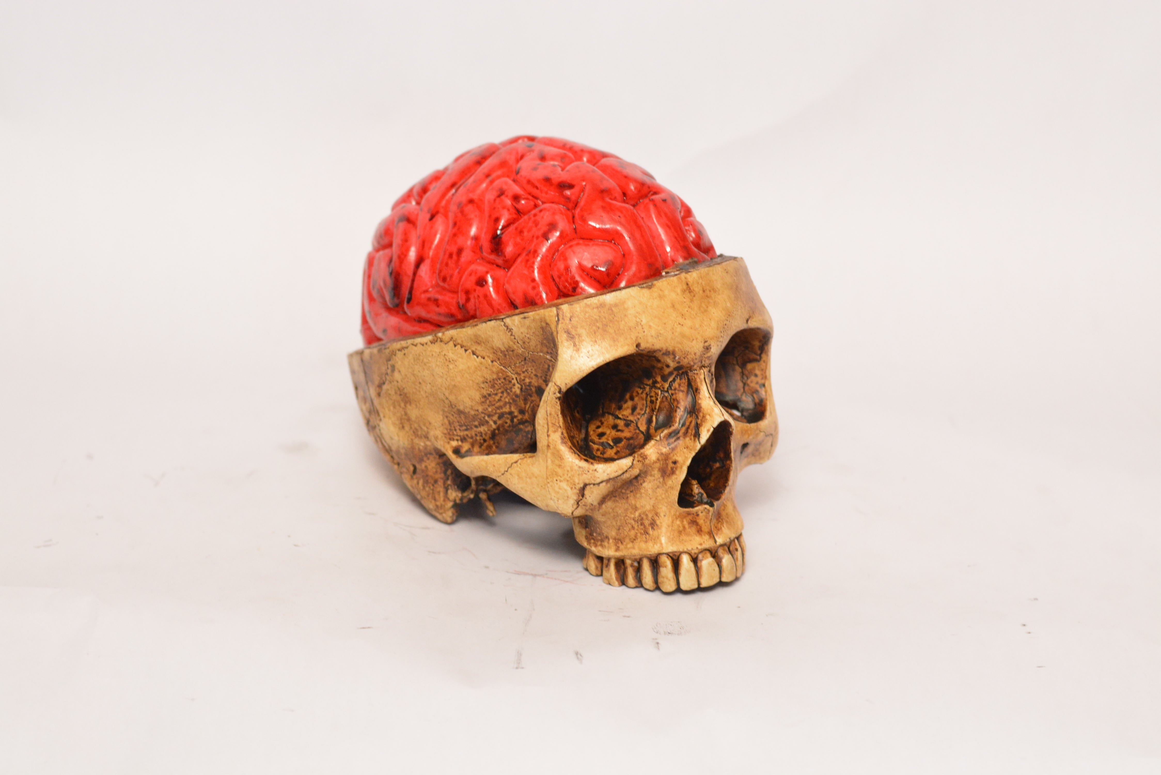 Human Skull - Headache (SCRATCH & DENT)