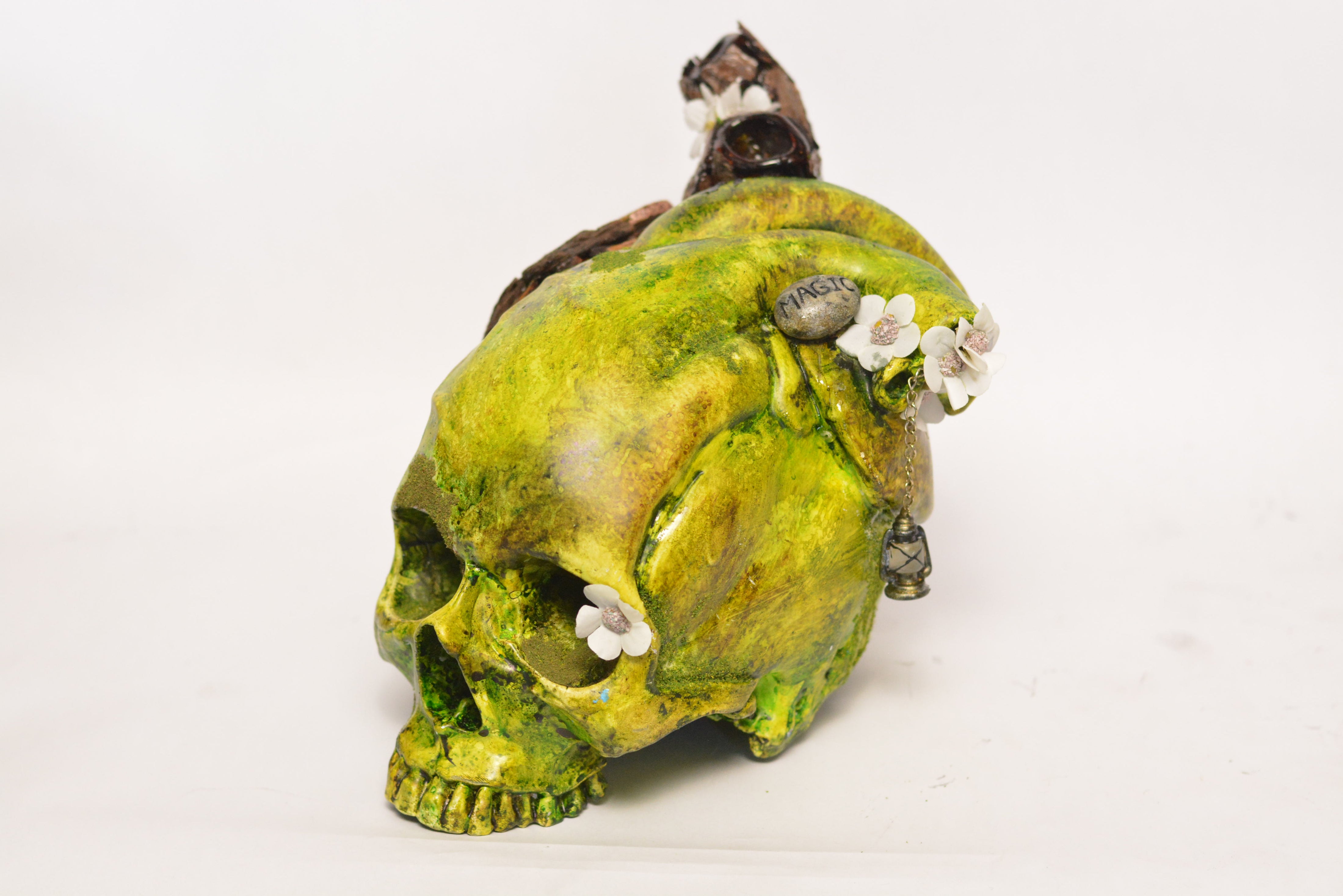 The Tell-Tale Heart Skull - Tinks Garden (EXPERIMENTAL PAINT)