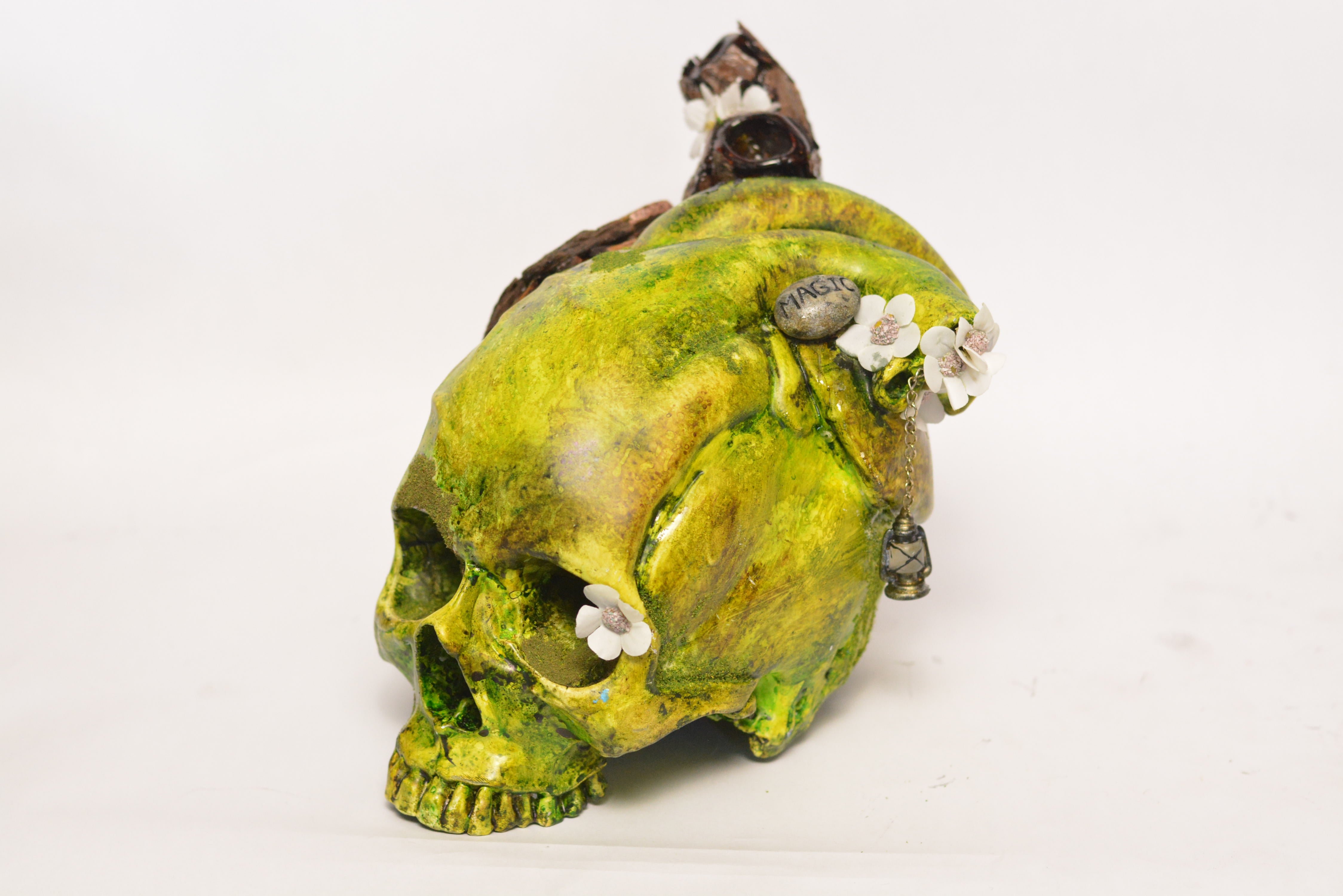 The Tell-Tale Heart Skull - Tinks Garden (EXPERIMENTAL PAINT)