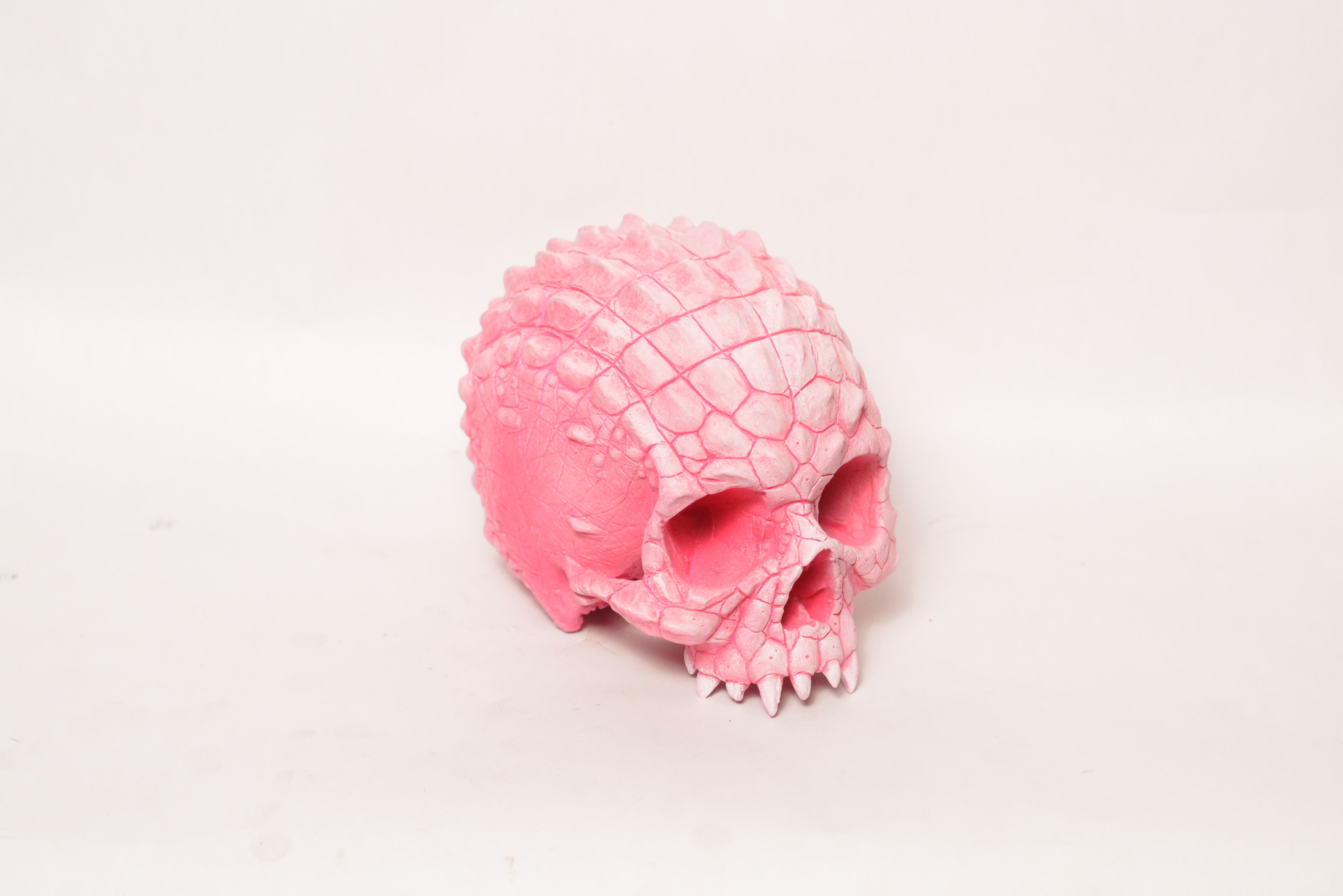 Croc Skull - Pink [EXPERIMENTAL PAINT]