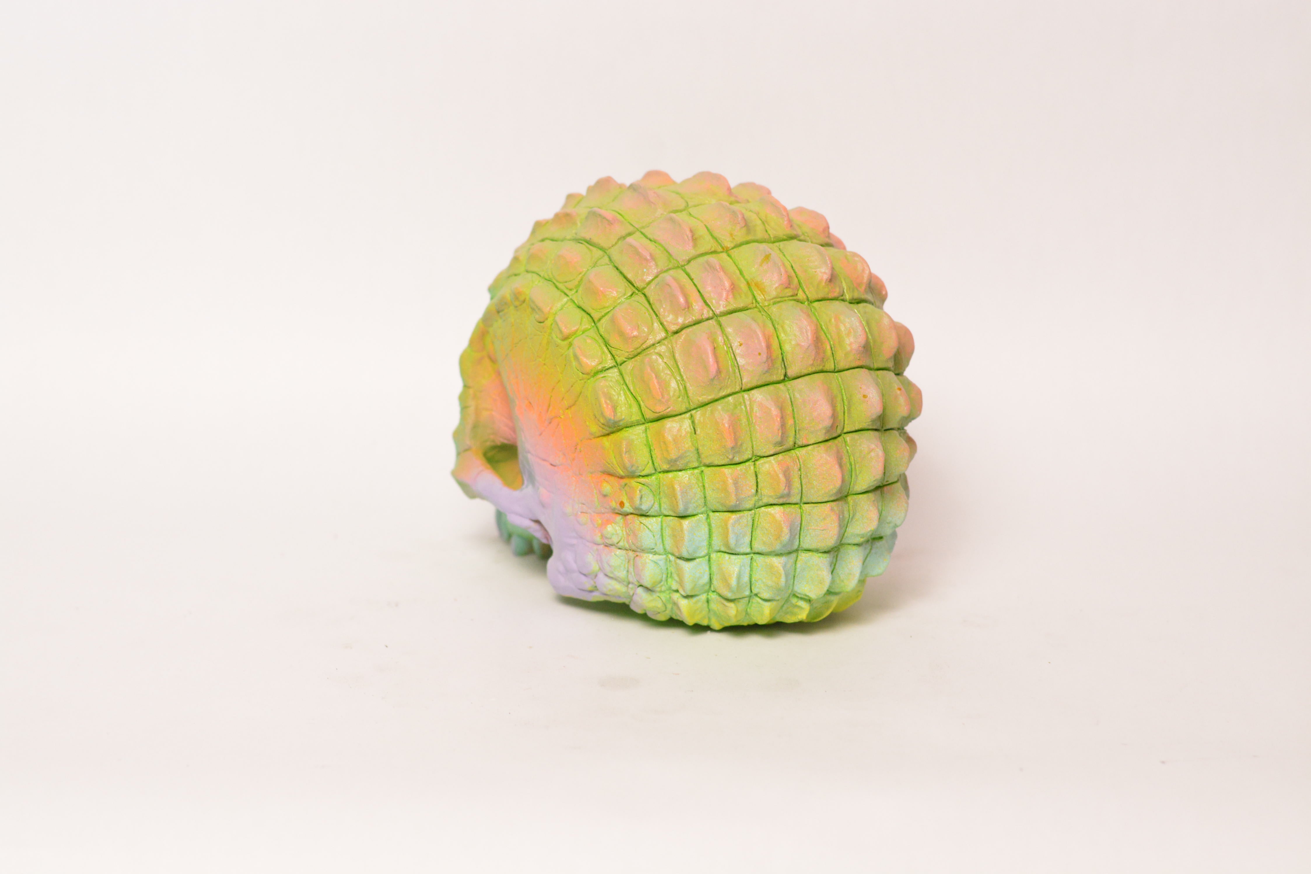 Croc Skull - Rio [EXPERIMENTAL PAINT]