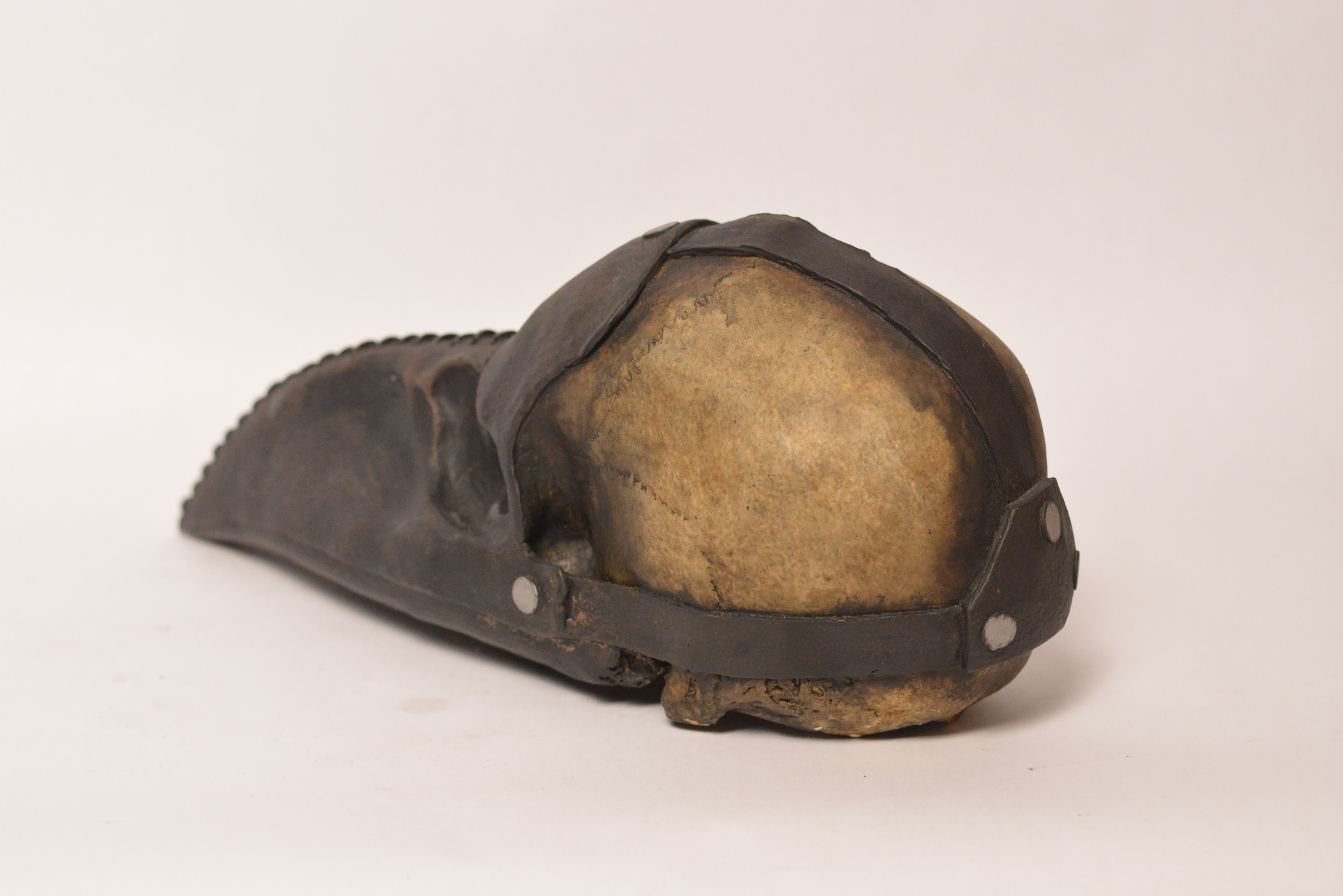 Plague Doctor Skull - Bubonic [EXPERIMENTAL PAINT] (1)