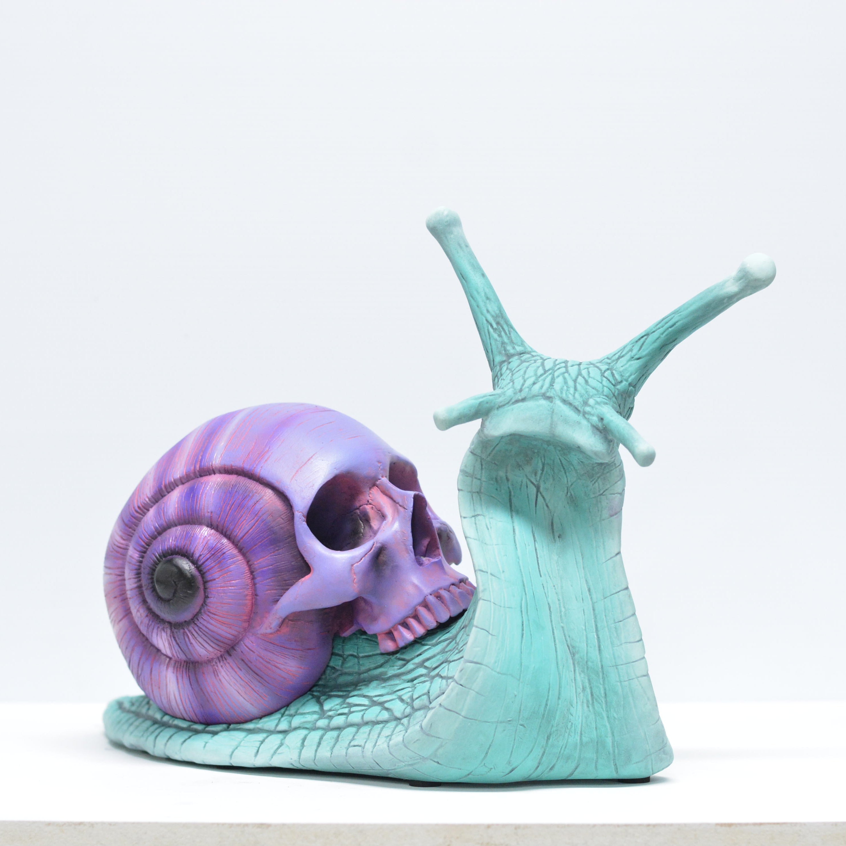 Psychedelic Snail [SCRATCH & DENT] (1)