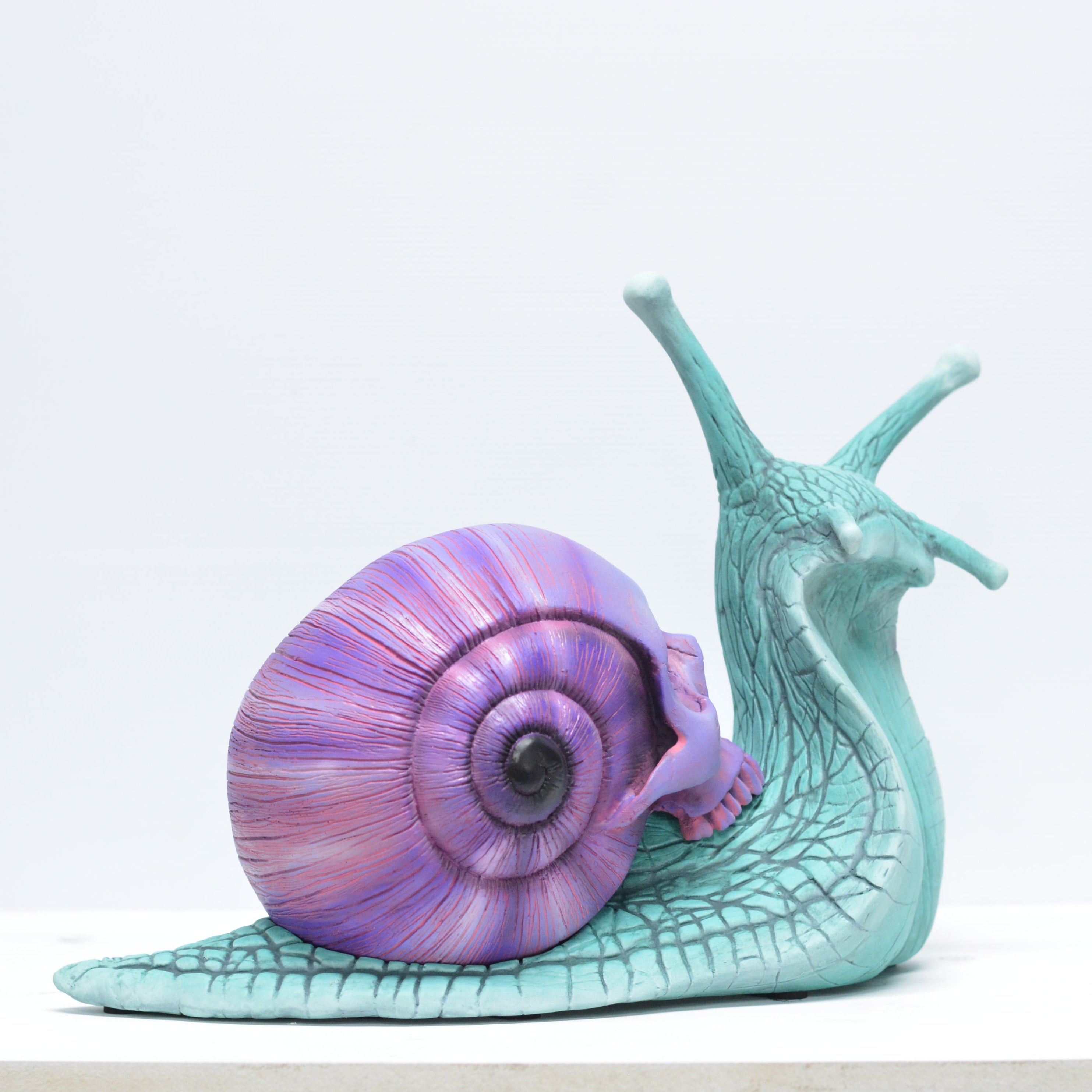 Psychedelic Snail [SCRATCH & DENT] (1)