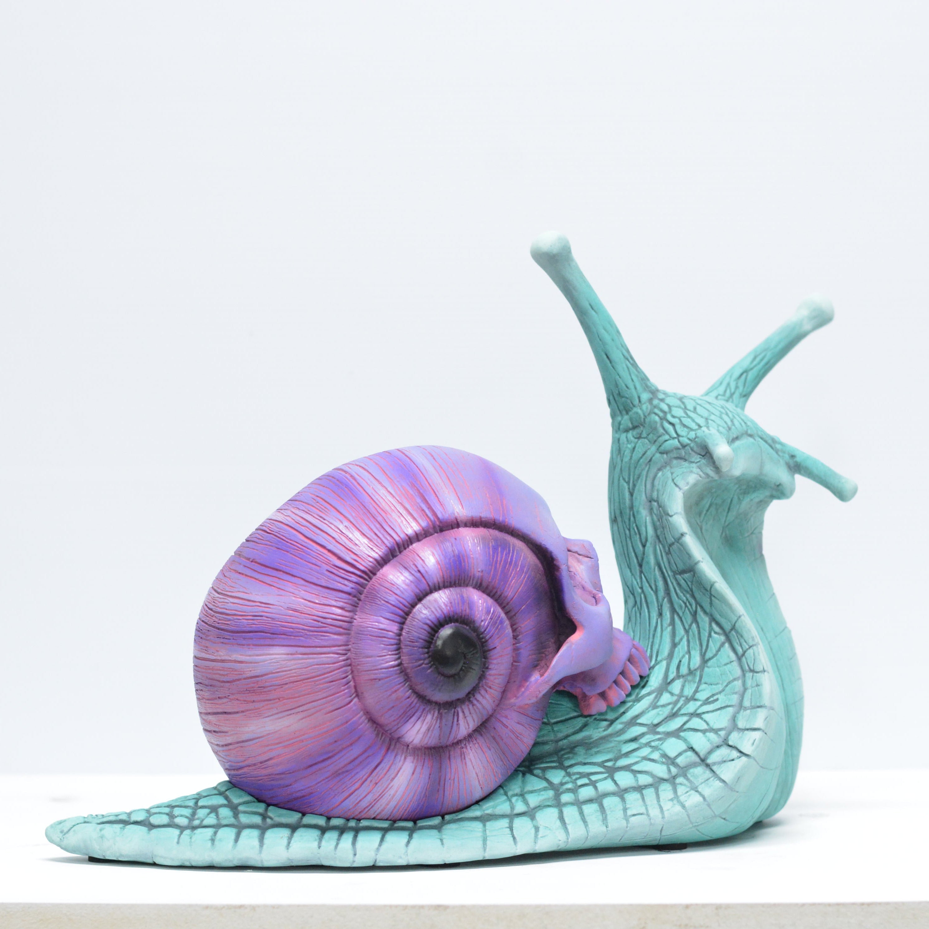 Psychedelic Snail [SCRATCH & DENT] (1)