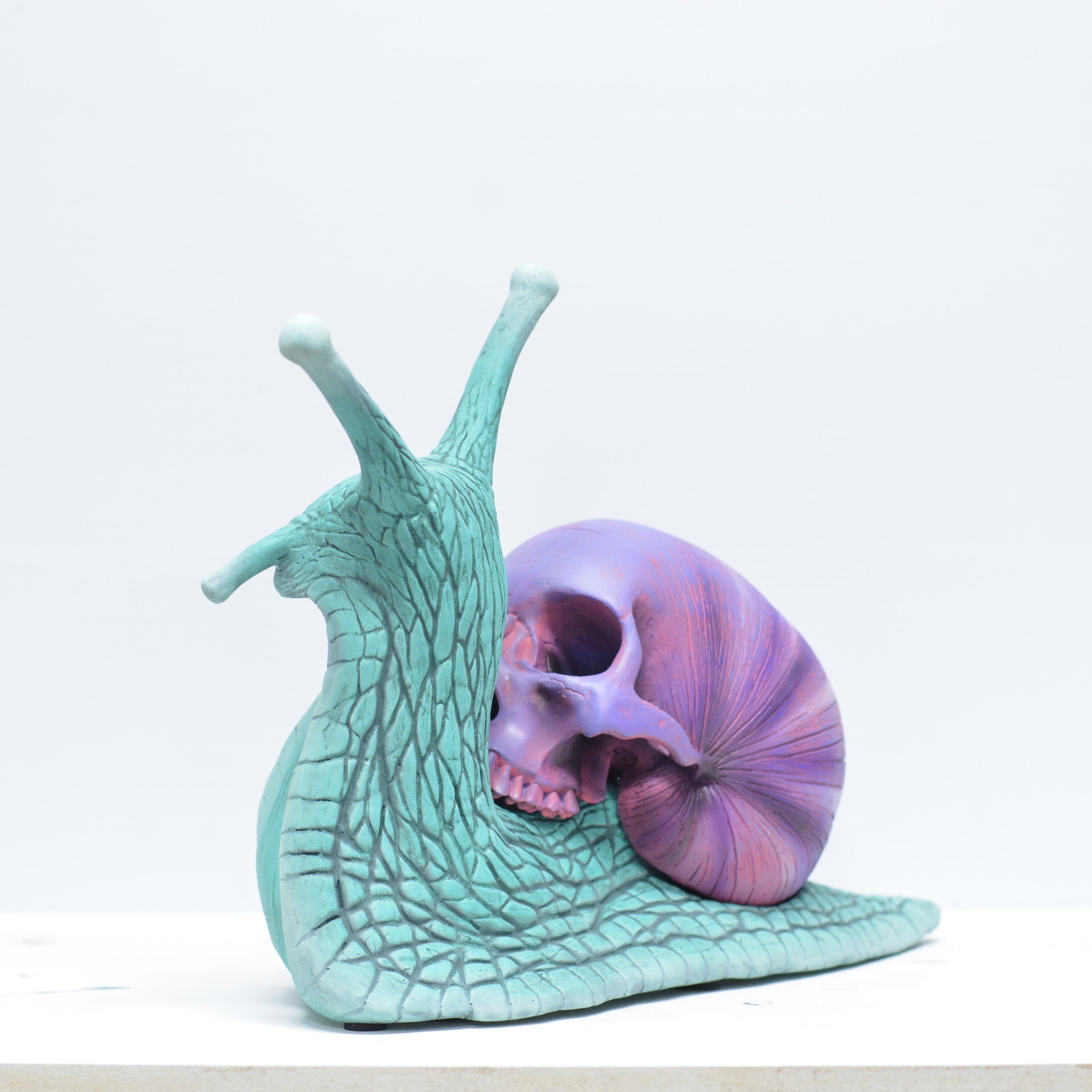 Psychedelic Snail [SCRATCH & DENT] (1)