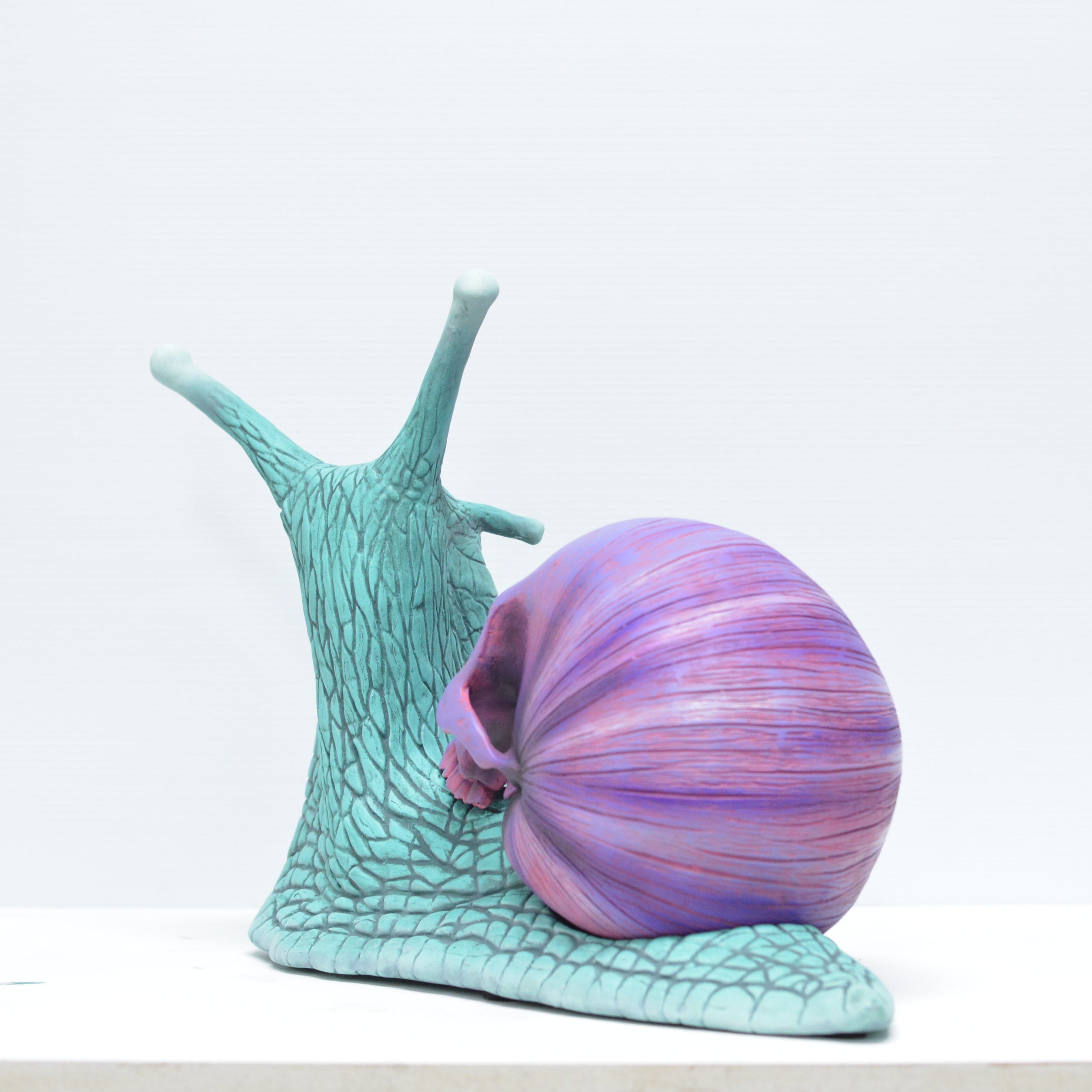 Psychedelic Snail [SCRATCH & DENT] (1)