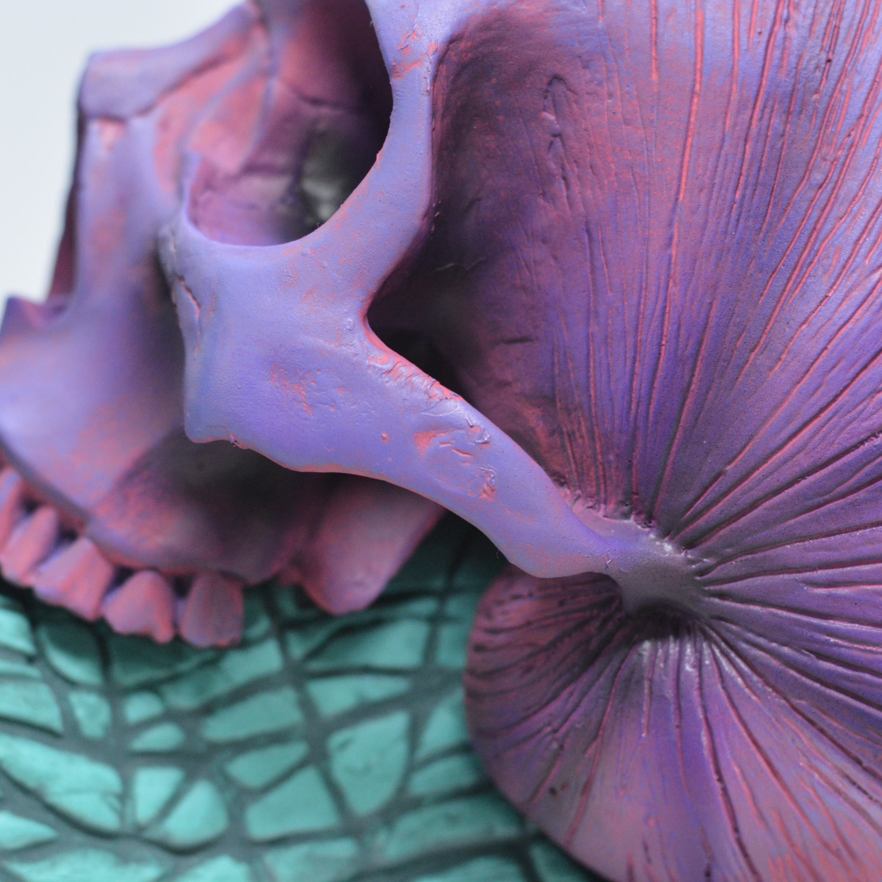 Psychedelic Snail [SCRATCH & DENT] (1)