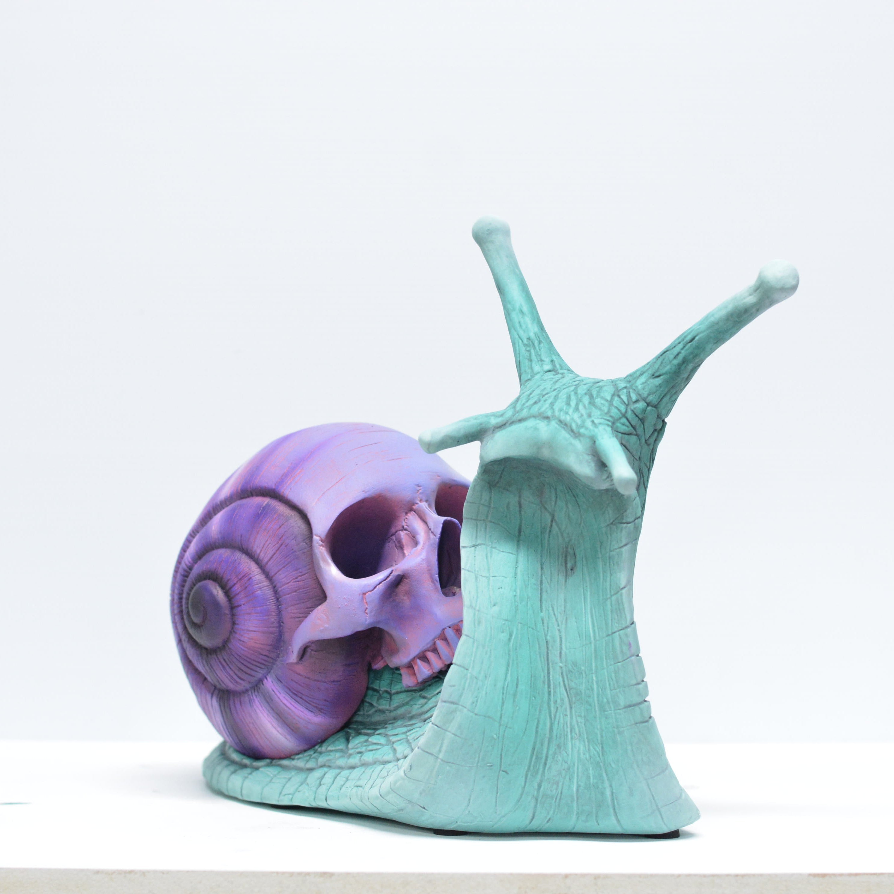 Psychedelic Snail [SCRATCH & DENT] (2)