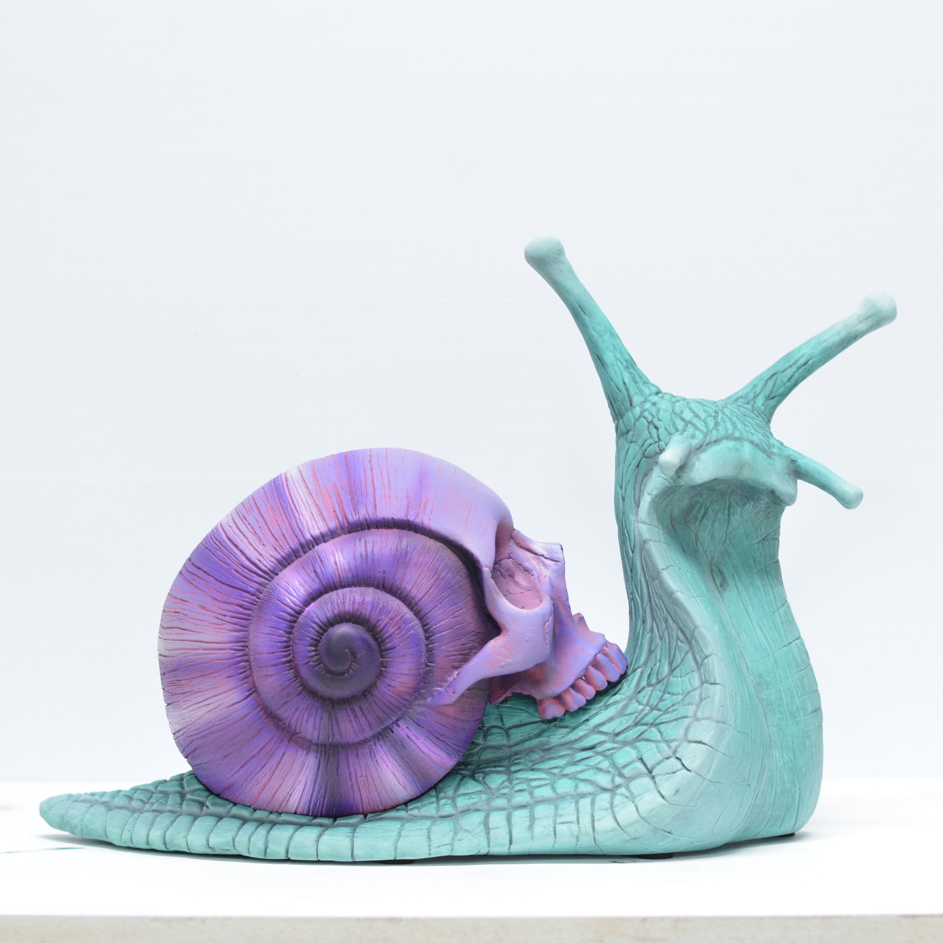 Psychedelic Snail [SCRATCH & DENT] (2)