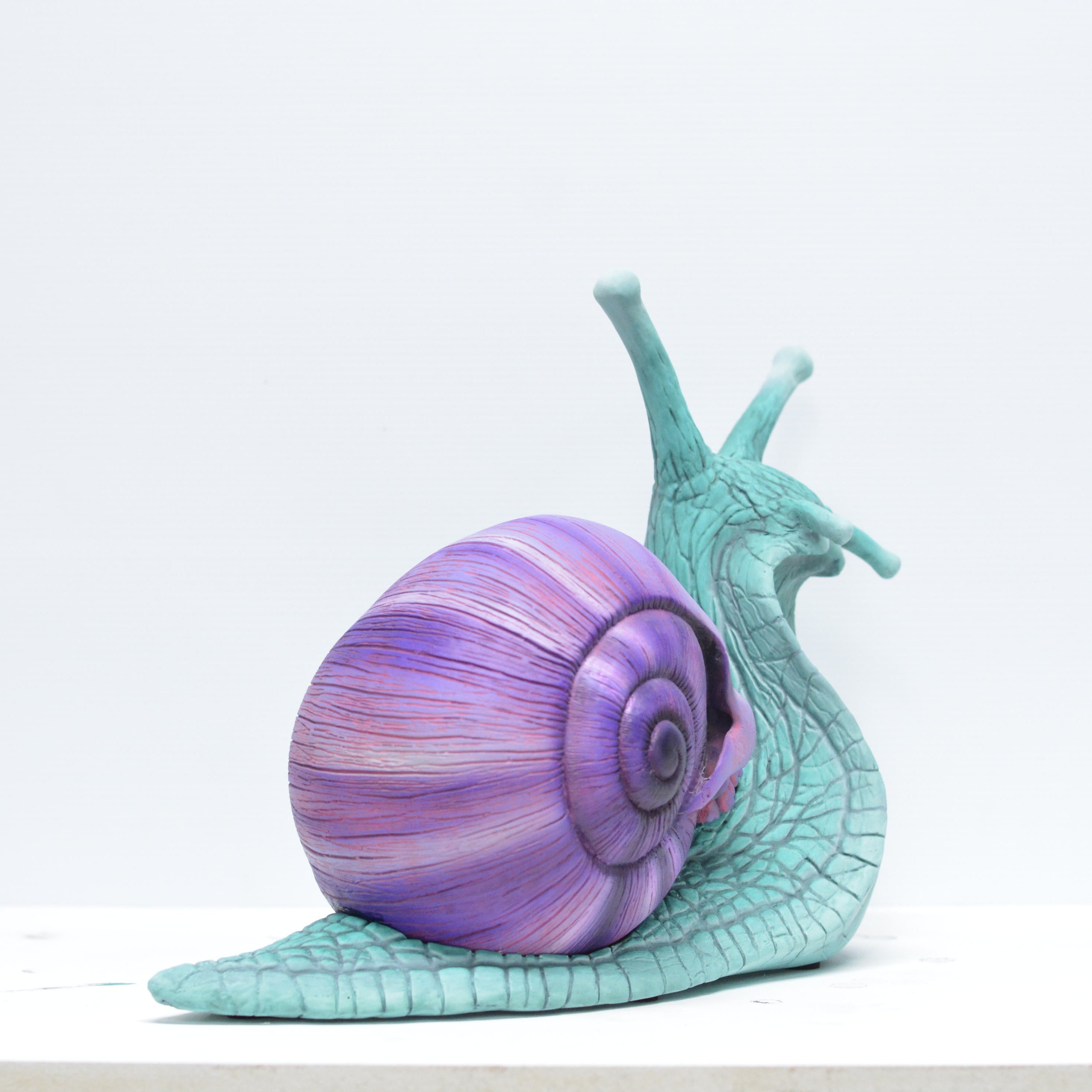 Psychedelic Snail [SCRATCH & DENT] (2)