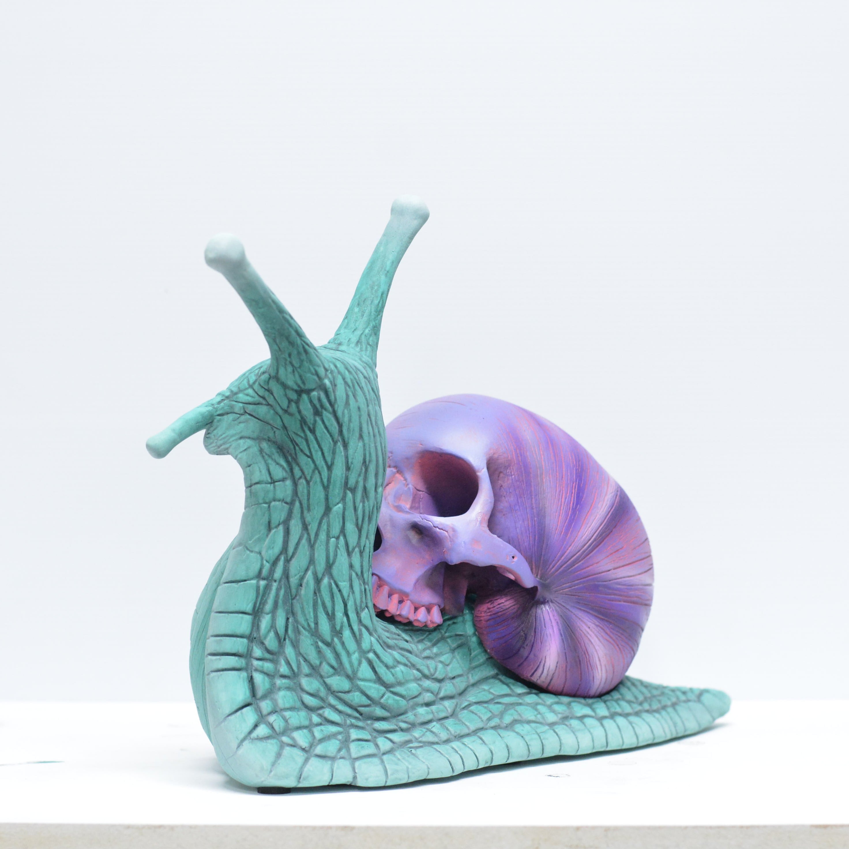 Psychedelic Snail [SCRATCH & DENT] (2)