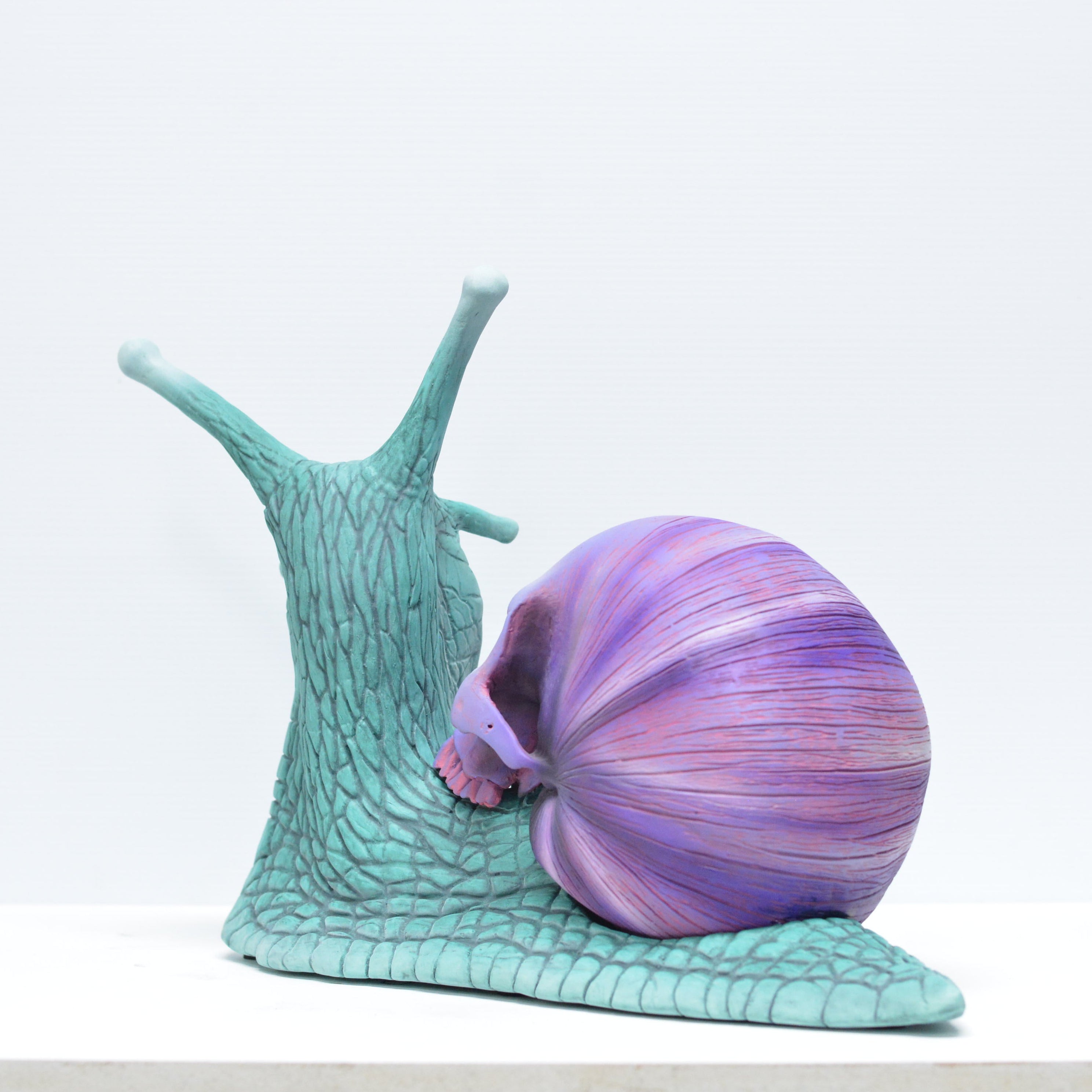 Psychedelic Snail [SCRATCH & DENT] (2)