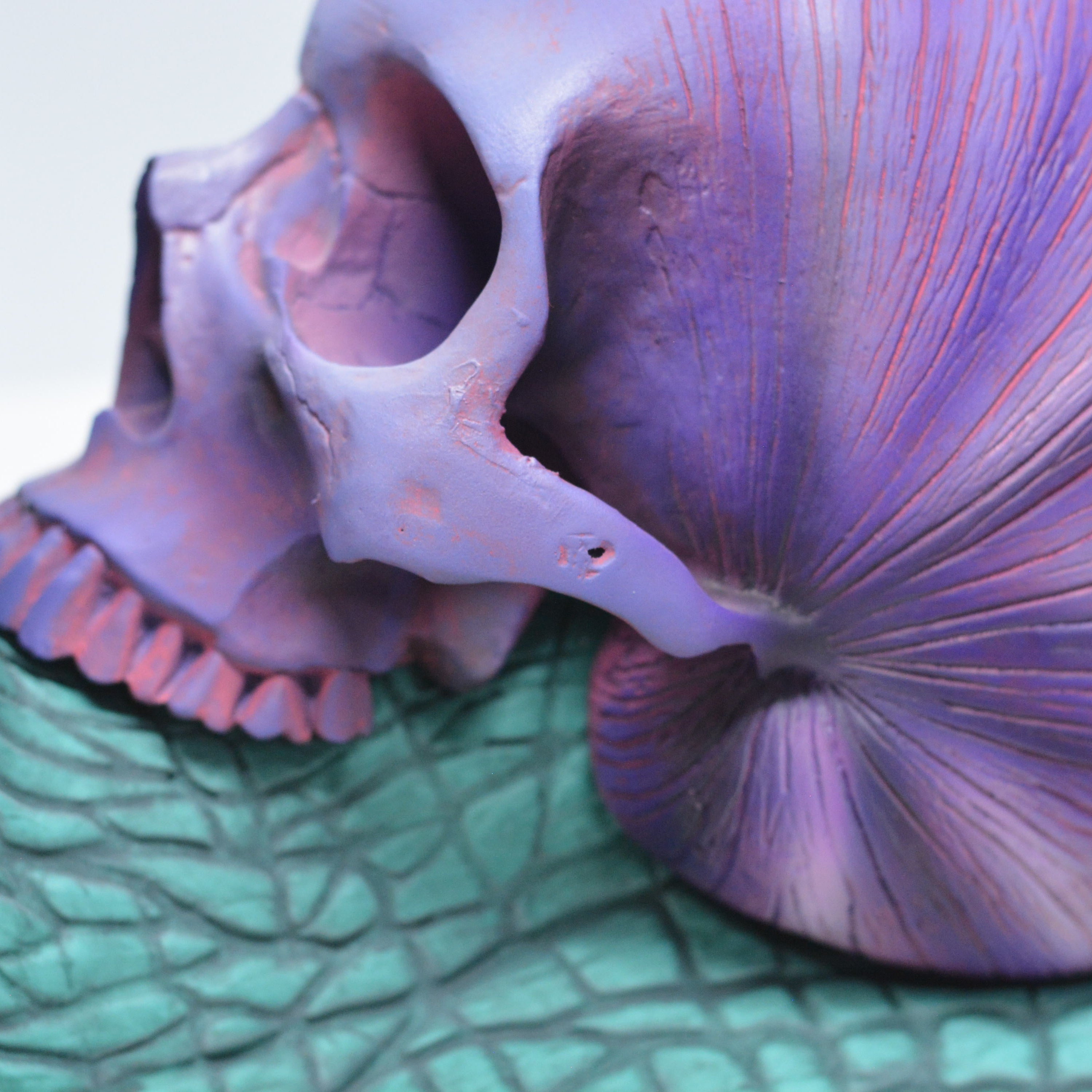 Psychedelic Snail [SCRATCH & DENT] (2)