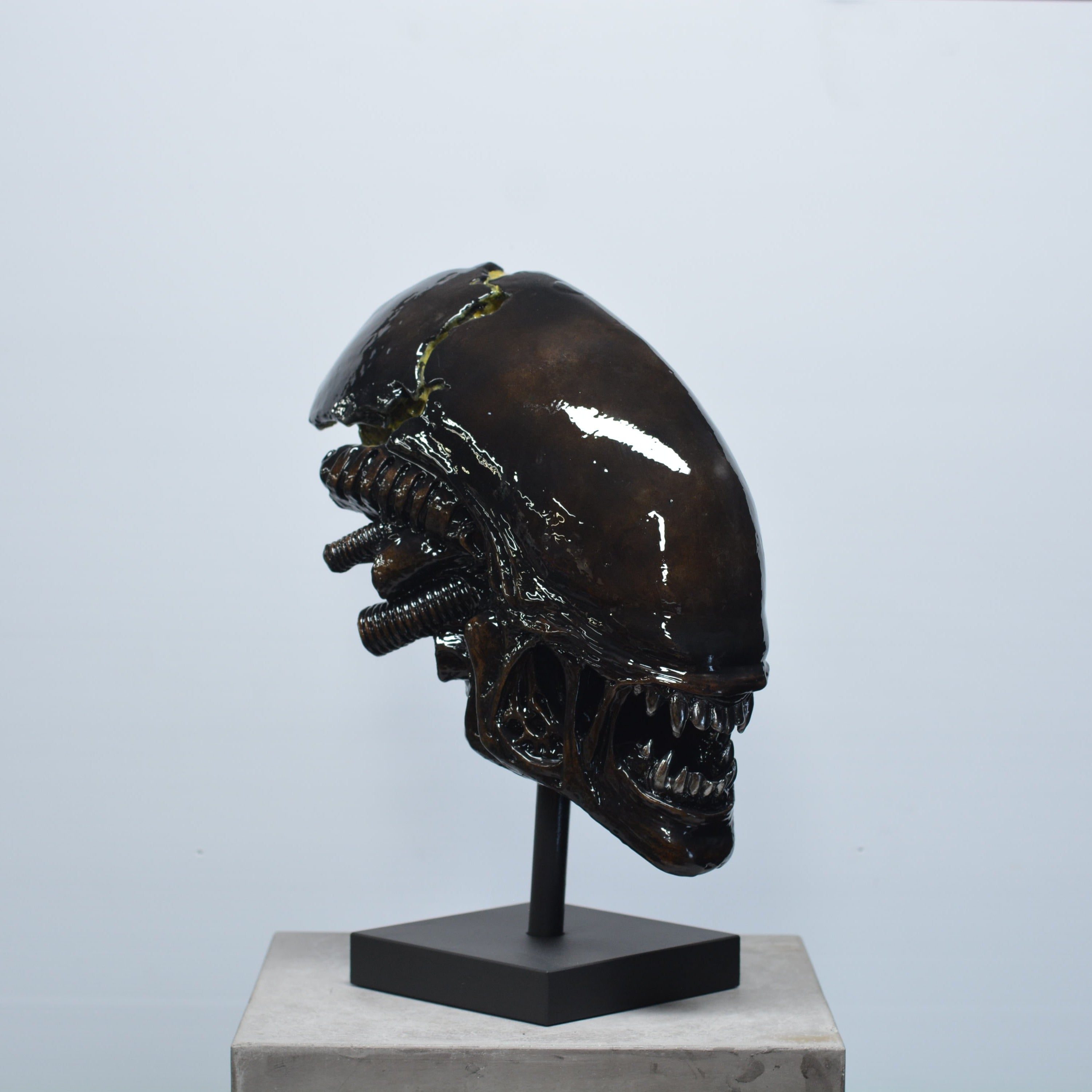Xeno Trophy [SCRATCH & DENT] (1)
