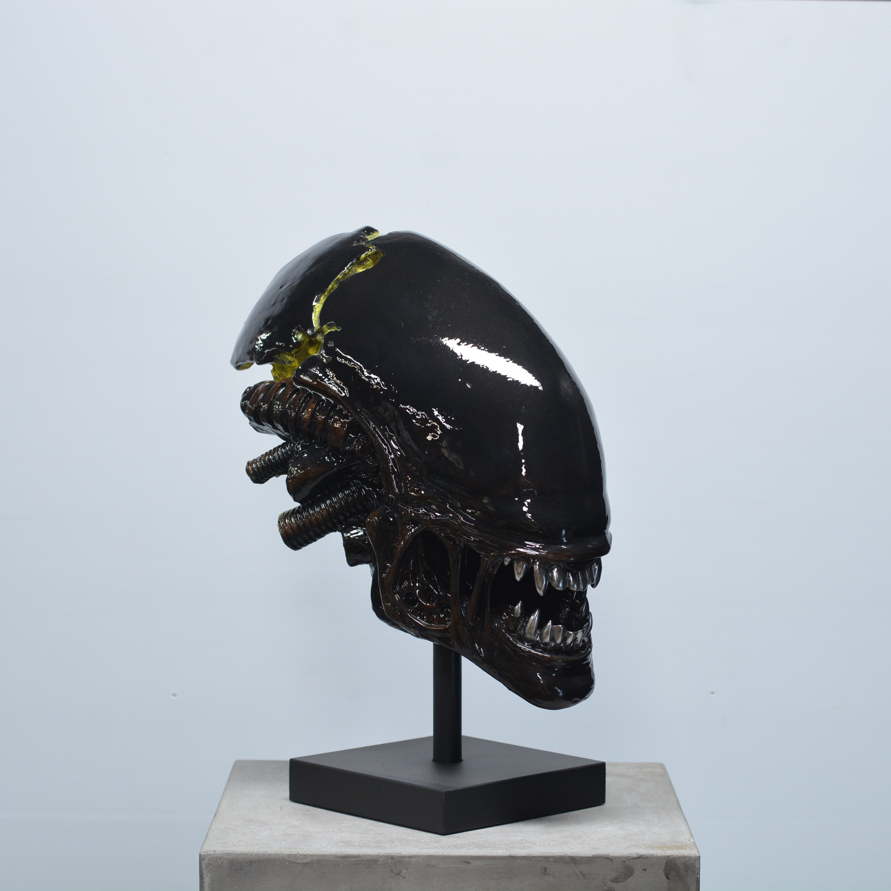 Xeno Trophy [SCRATCH & DENT] (2)