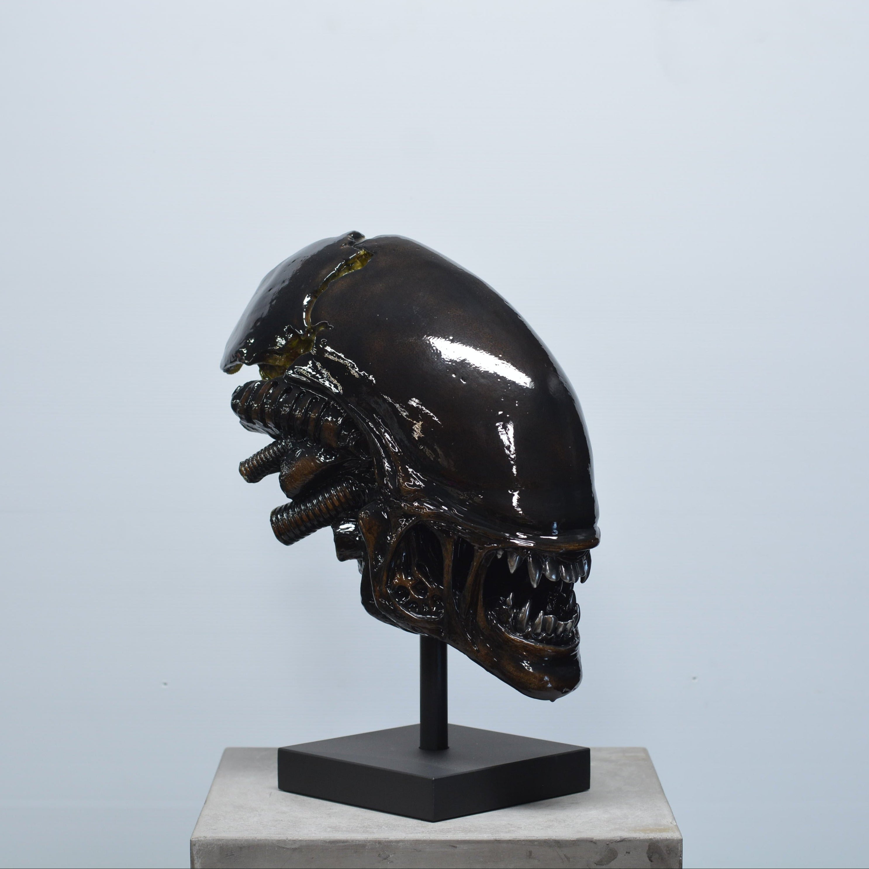 Xeno Trophy [SCRATCH & DENT] (3)
