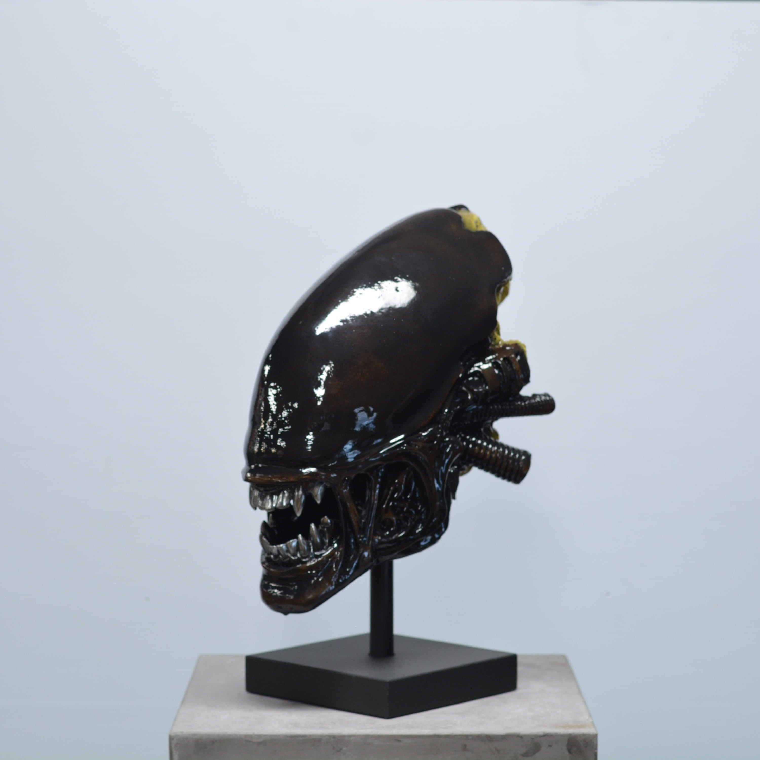 Xeno Trophy [SCRATCH & DENT] (3)