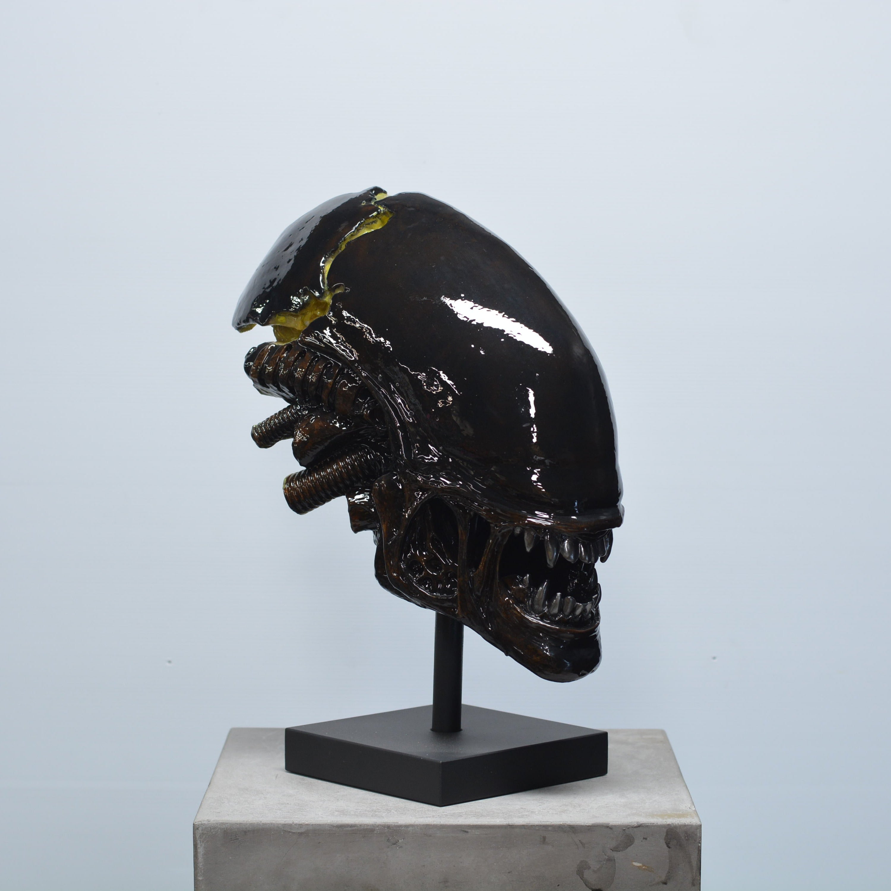 Xeno Trophy [SCRATCH & DENT] (4)