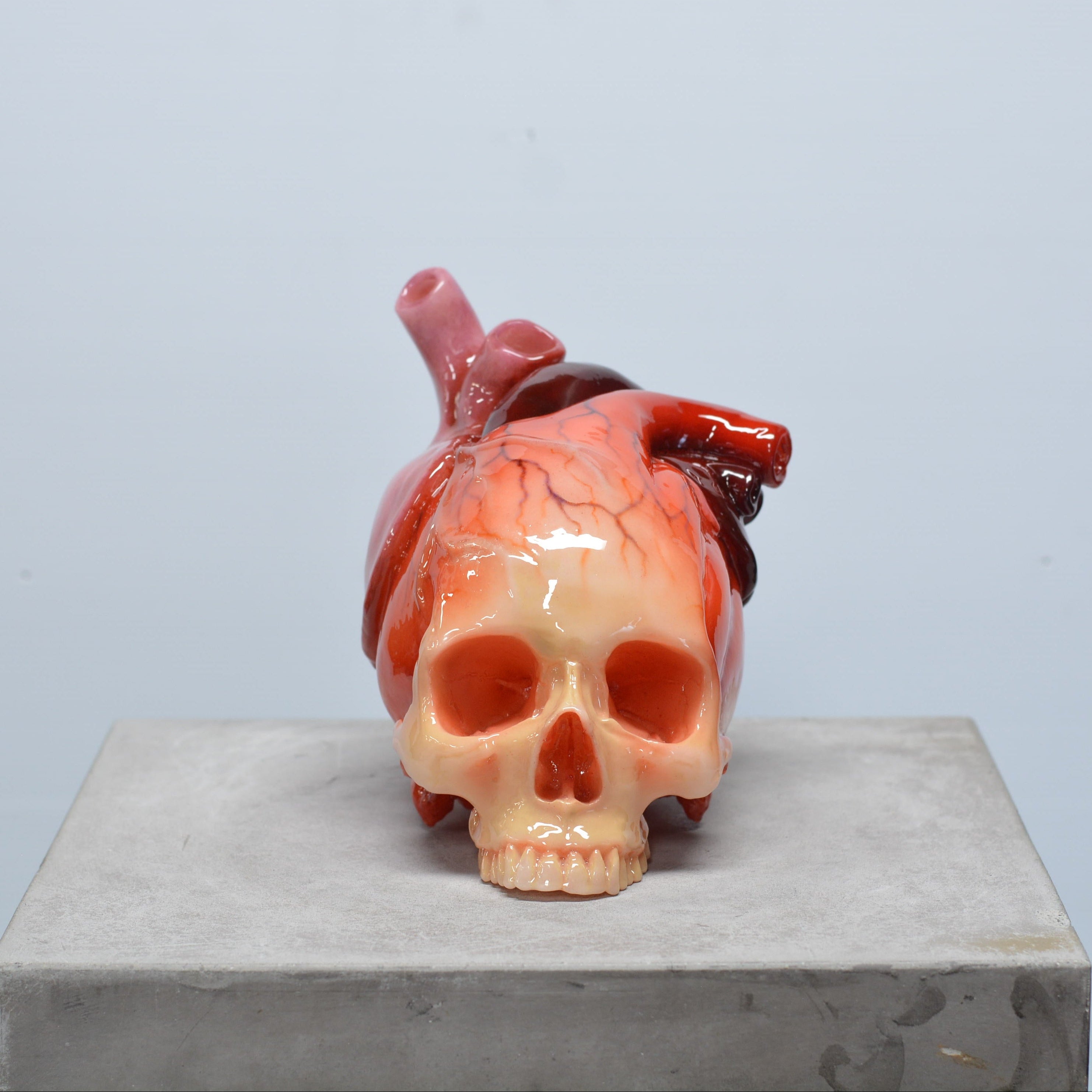 The Tell-Tale Heart Skull [SCRATCH & DENT] (1)