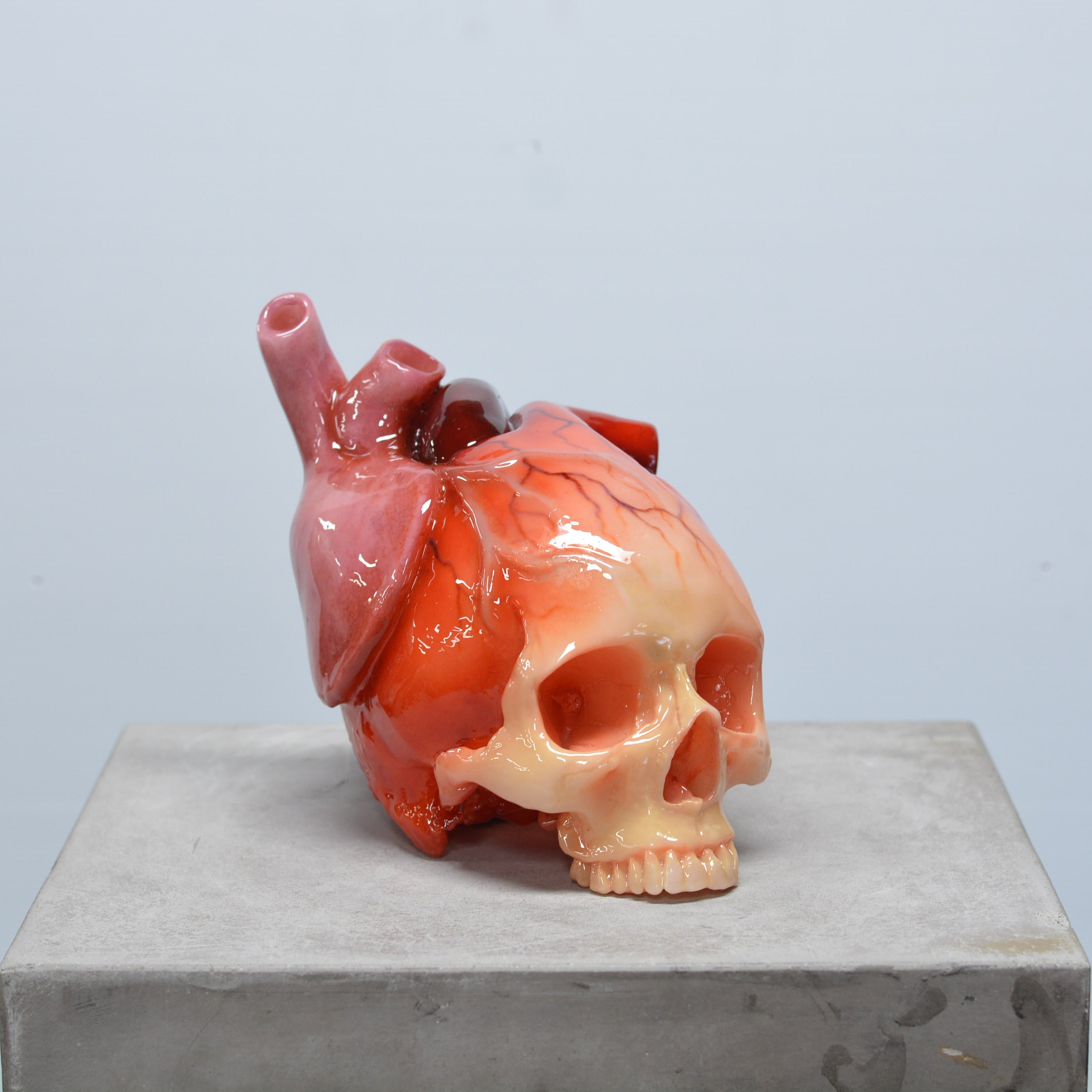 The Tell-Tale Heart Skull [SCRATCH & DENT] (1)