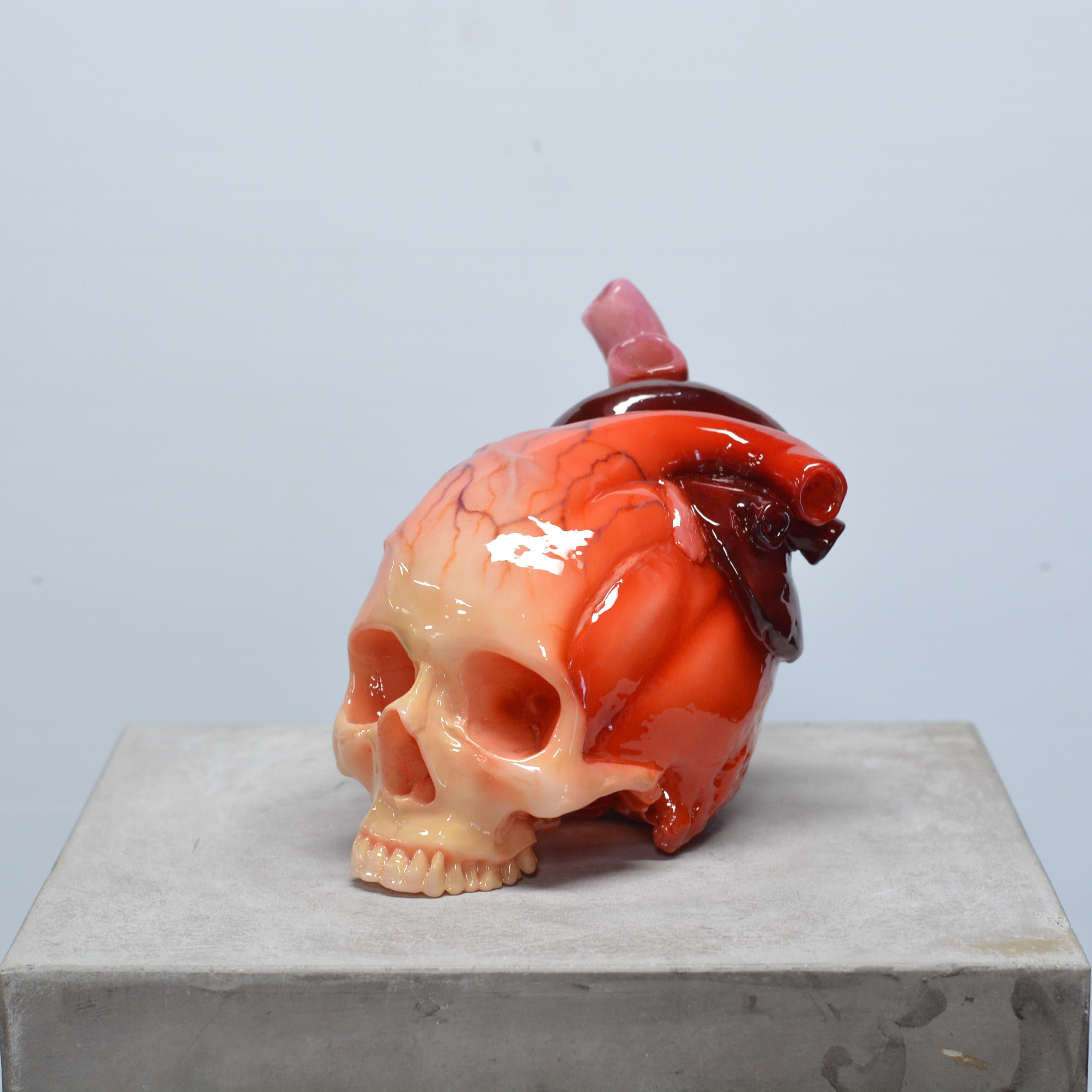 The Tell-Tale Heart Skull [SCRATCH & DENT] (1)