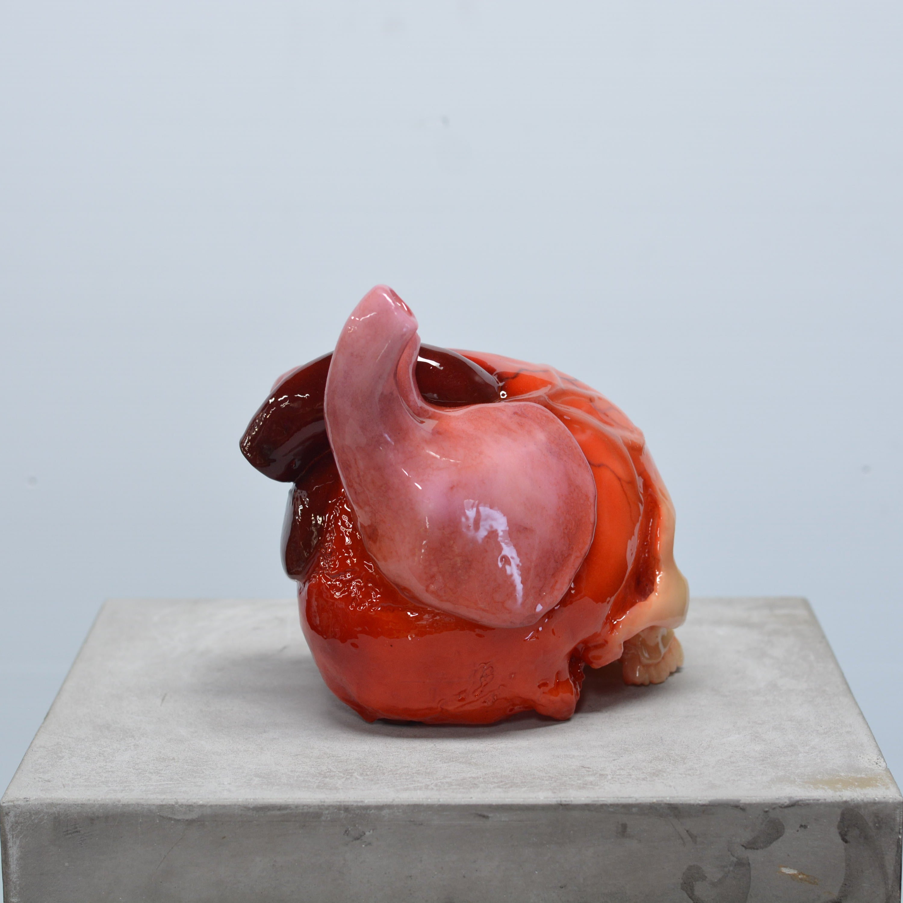 The Tell-Tale Heart Skull [SCRATCH & DENT] (1)