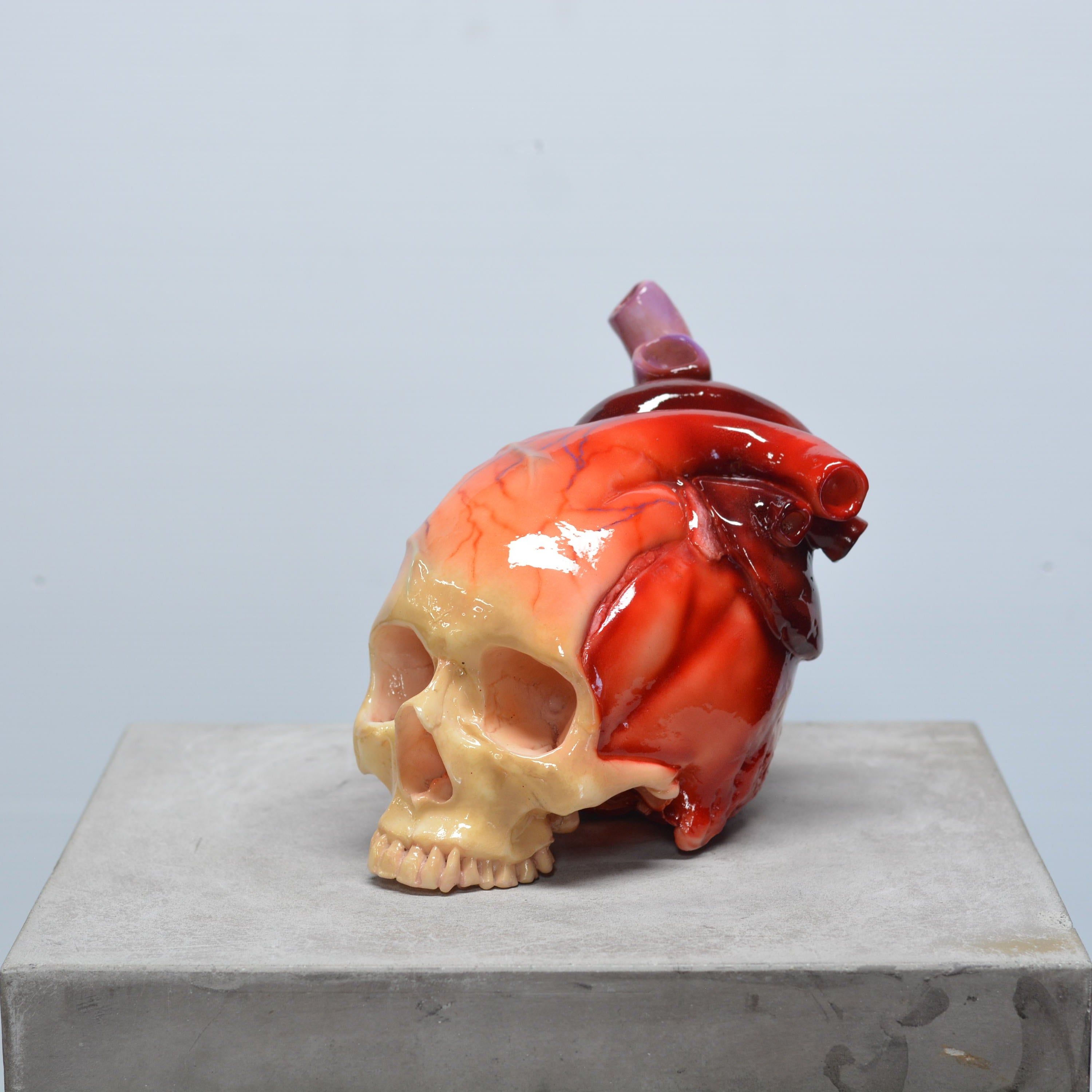 The Tell-Tale Heart Skull [SCRATCH & DENT] (2)