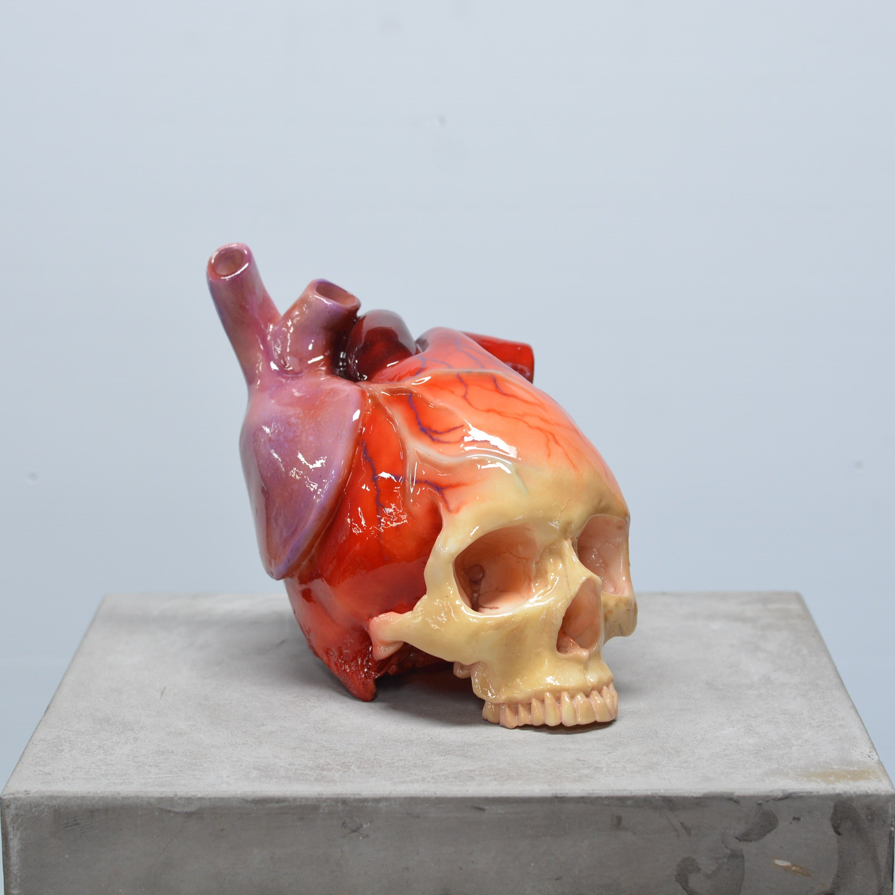 The Tell-Tale Heart Skull [SCRATCH & DENT] (2)