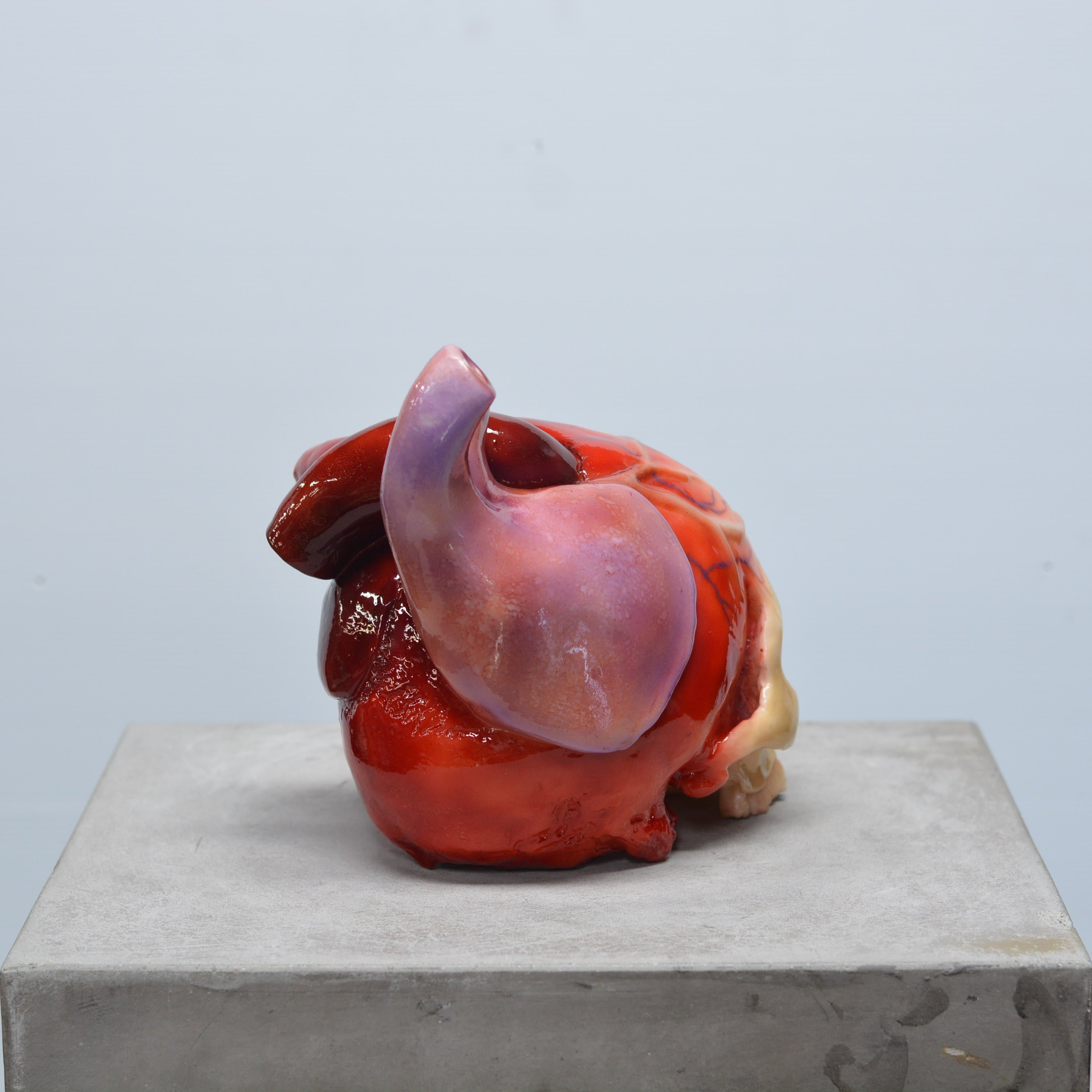 The Tell-Tale Heart Skull [SCRATCH & DENT] (2)