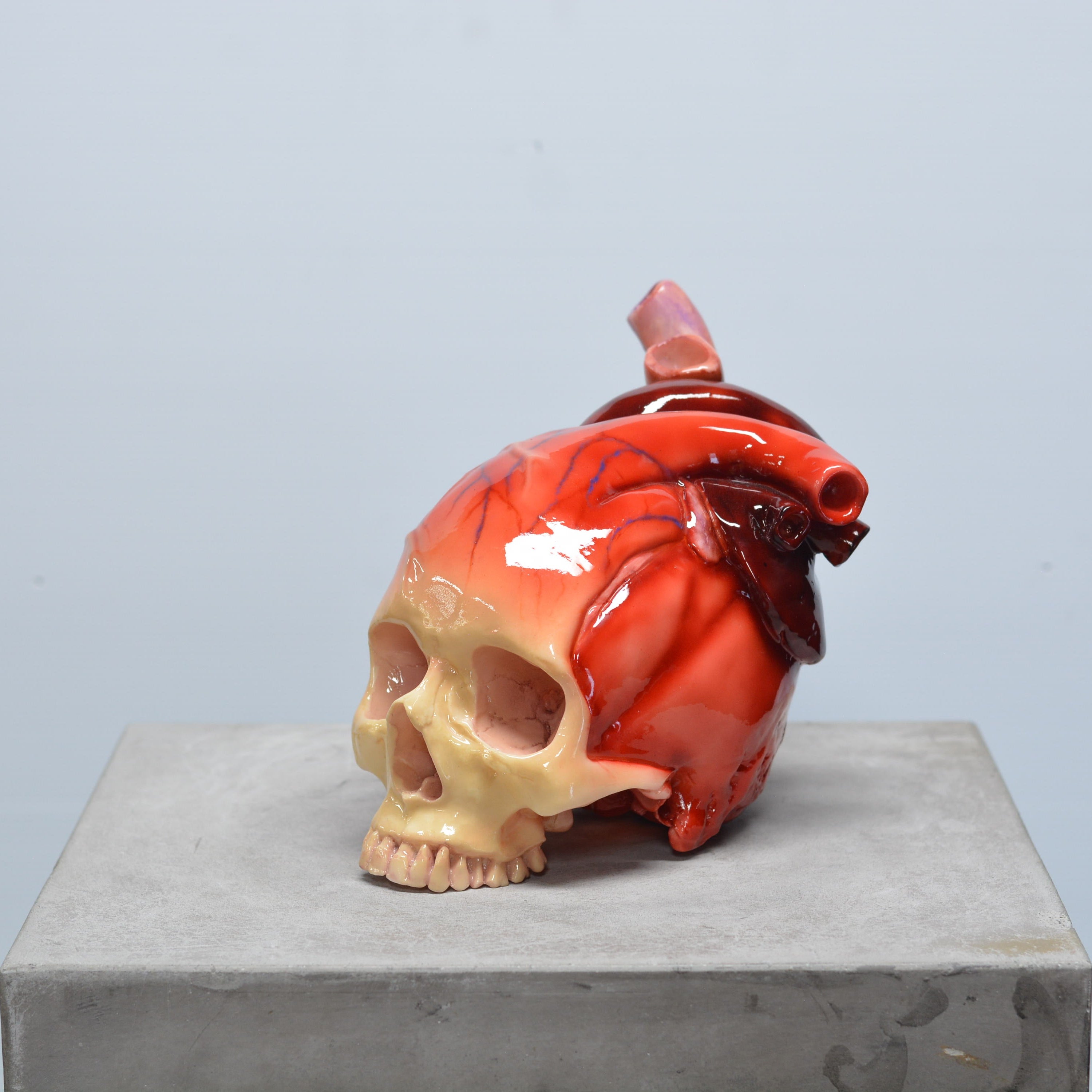 The Tell-Tale Heart Skull [SCRATCH & DENT] (3)