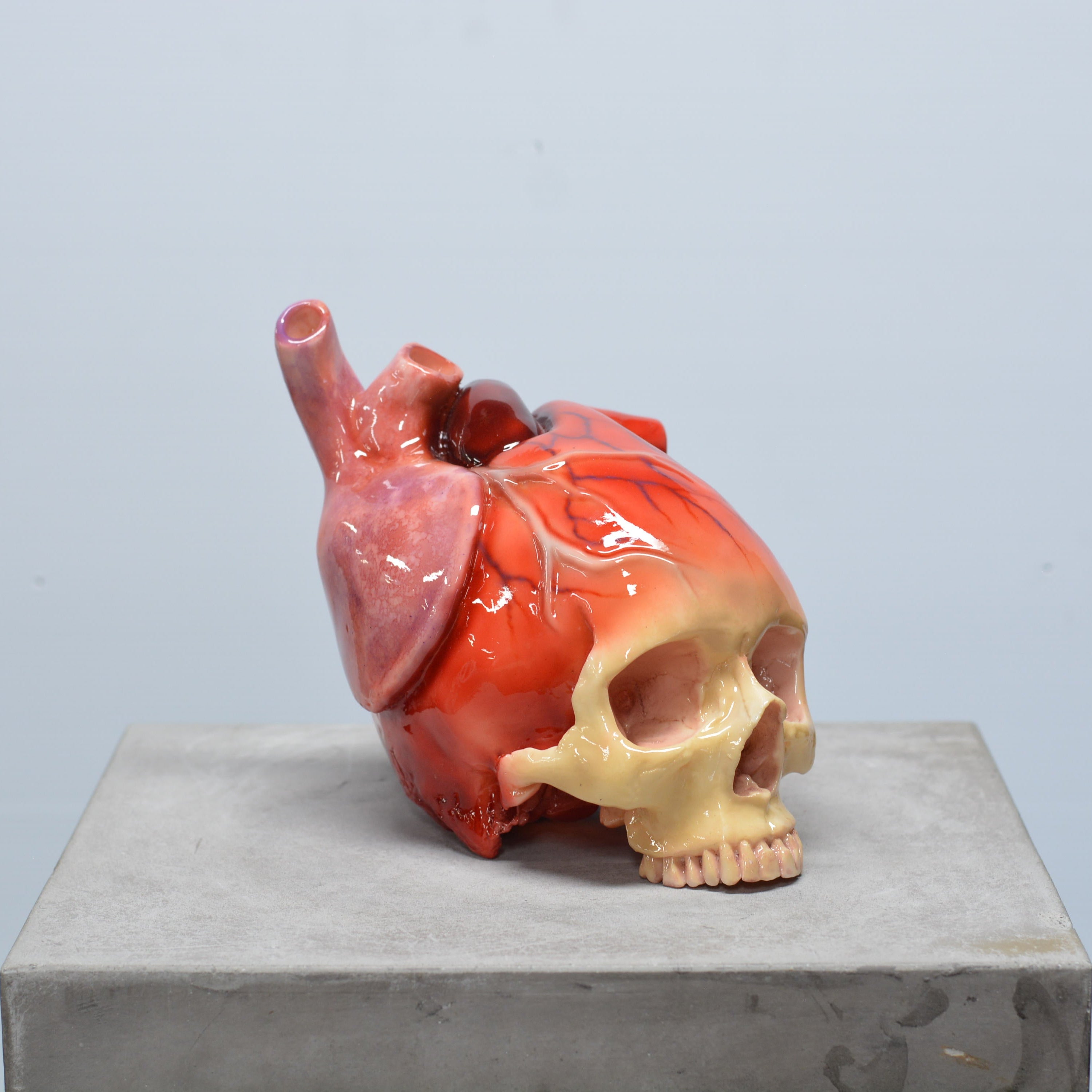 The Tell-Tale Heart Skull [SCRATCH & DENT] (3)