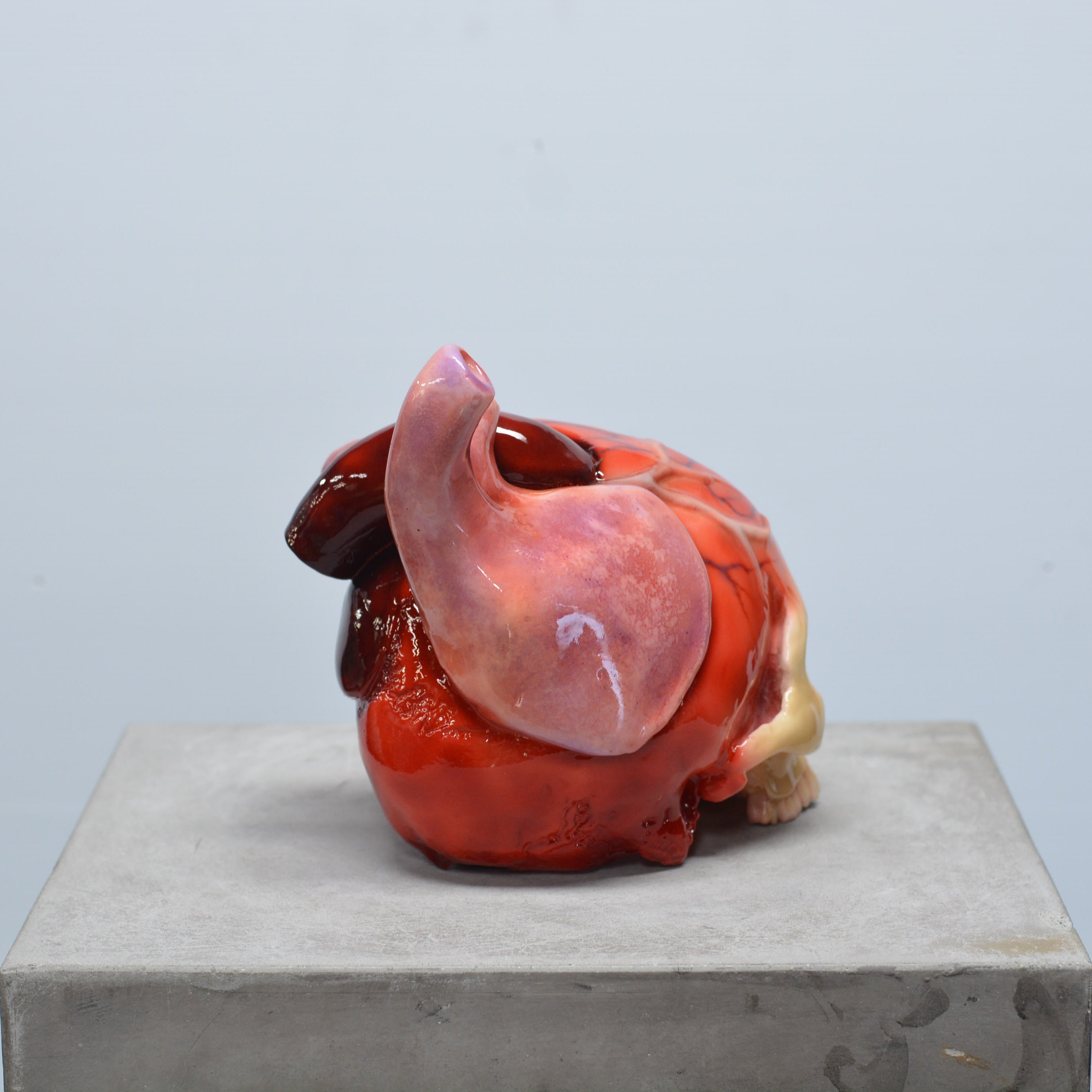 The Tell-Tale Heart Skull [SCRATCH & DENT] (3)
