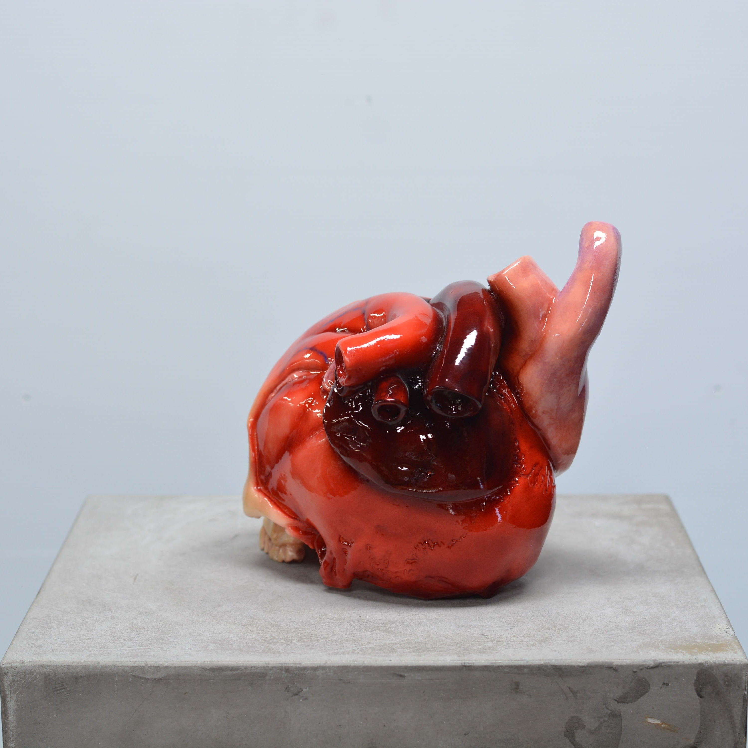 The Tell-Tale Heart Skull [SCRATCH & DENT] (3)