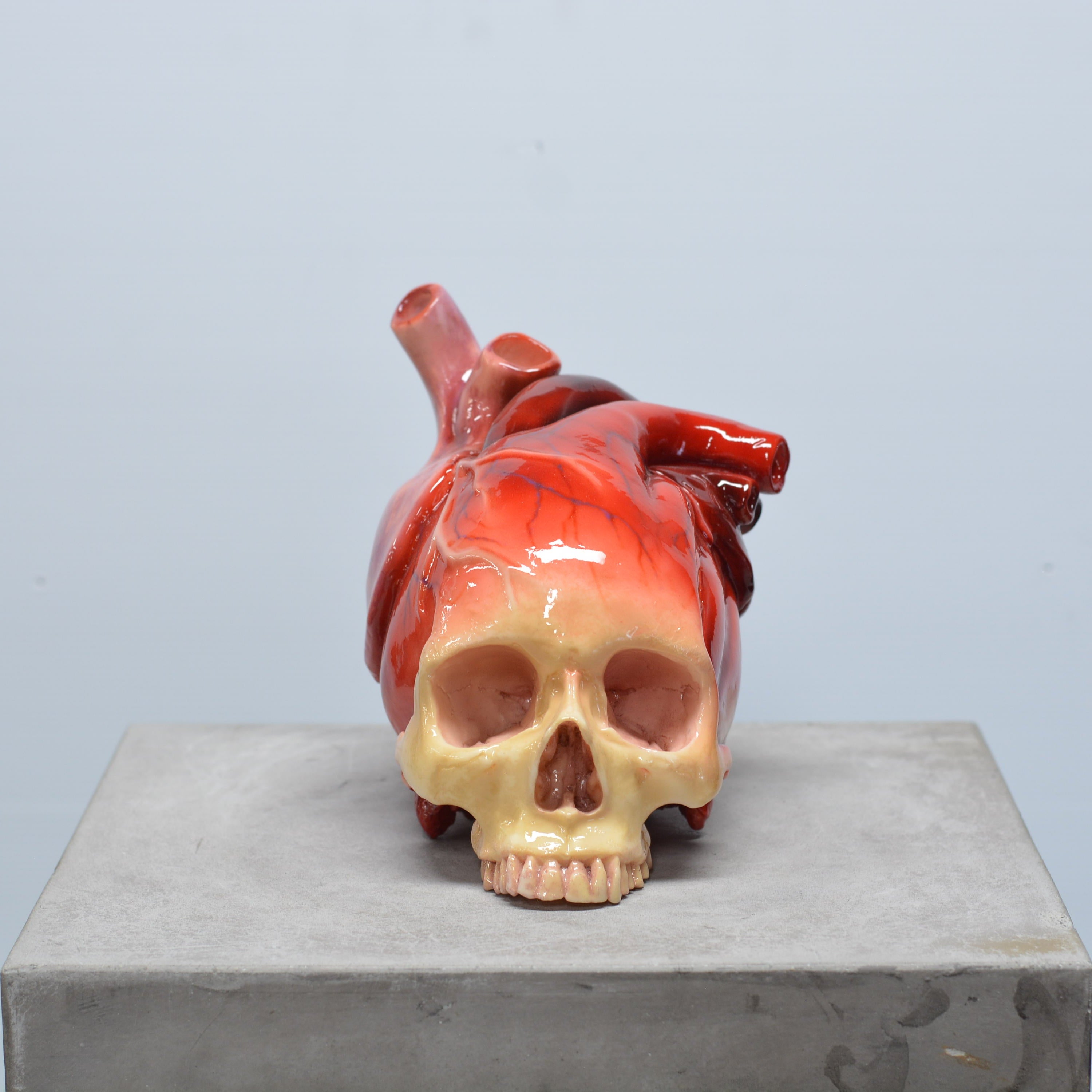 The Tell-Tale Heart Skull [SCRATCH & DENT] (5)