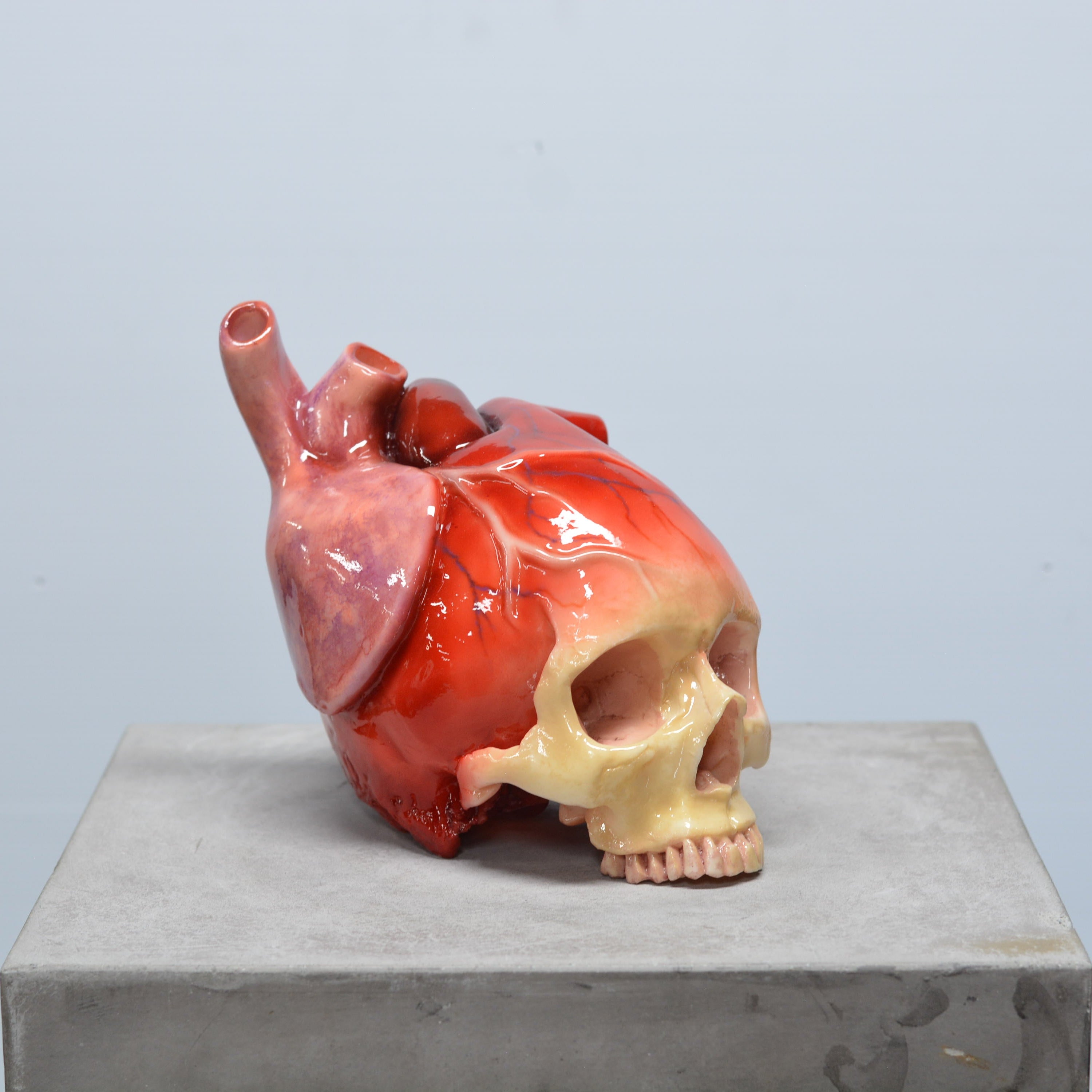 The Tell-Tale Heart Skull [SCRATCH & DENT] (5)
